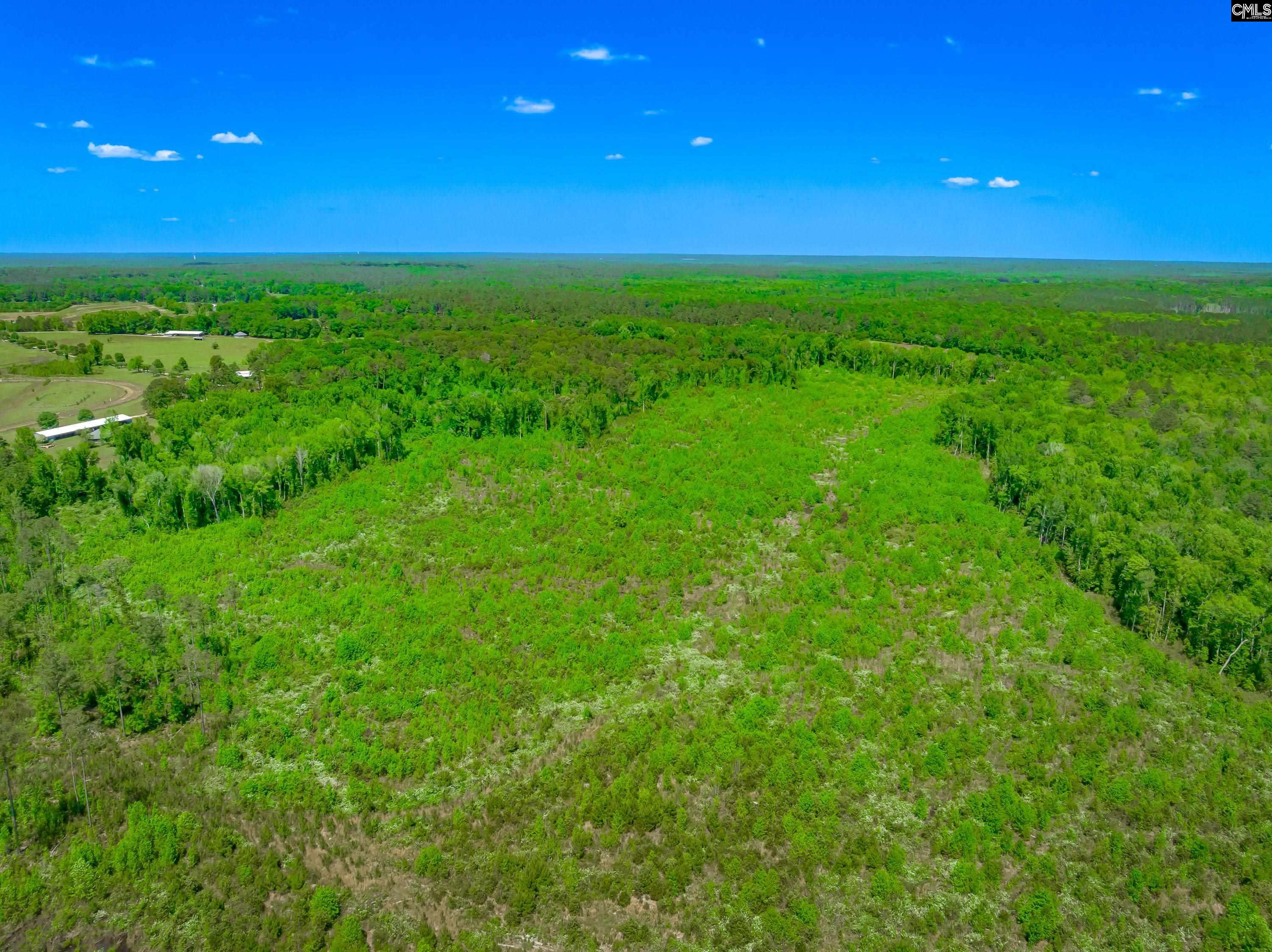  377 Sweet Street  Rembert, SC - 物件實景