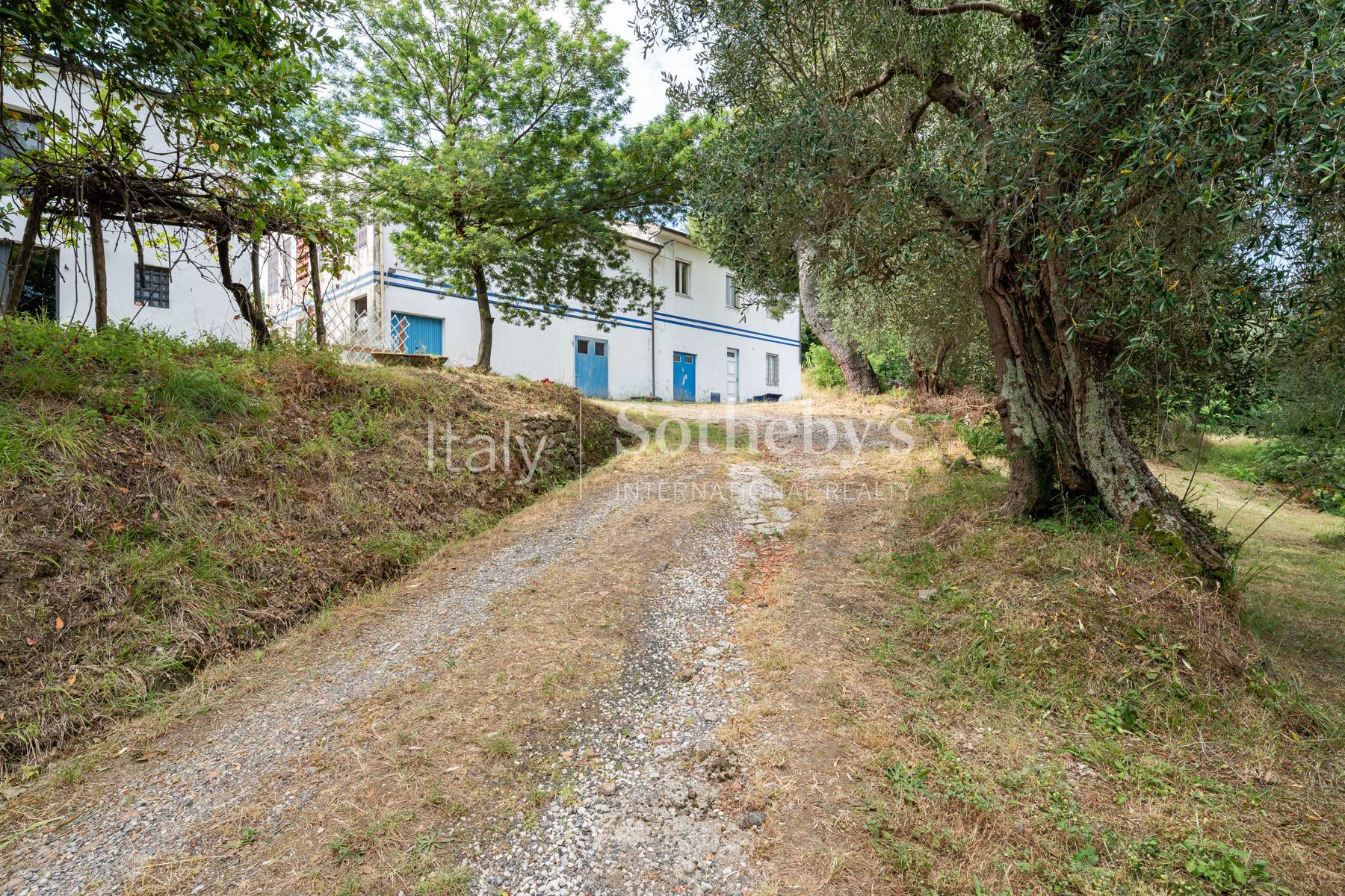  Elegant Tuscan Villa with pool, pond and dépandance - 物件實景