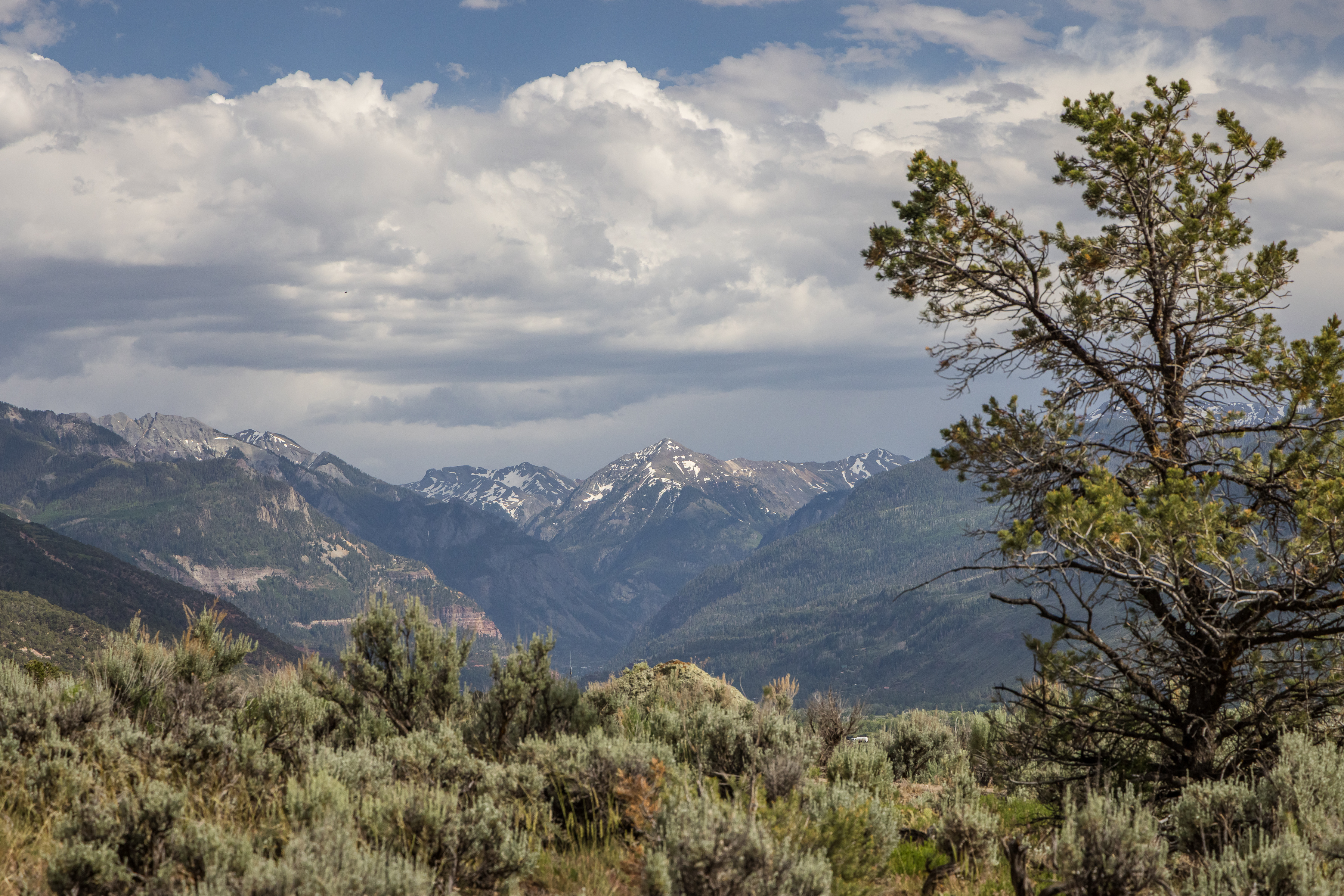  800 Golden Eagle Trail, Ridgway, CO, 81432 - 物件實景