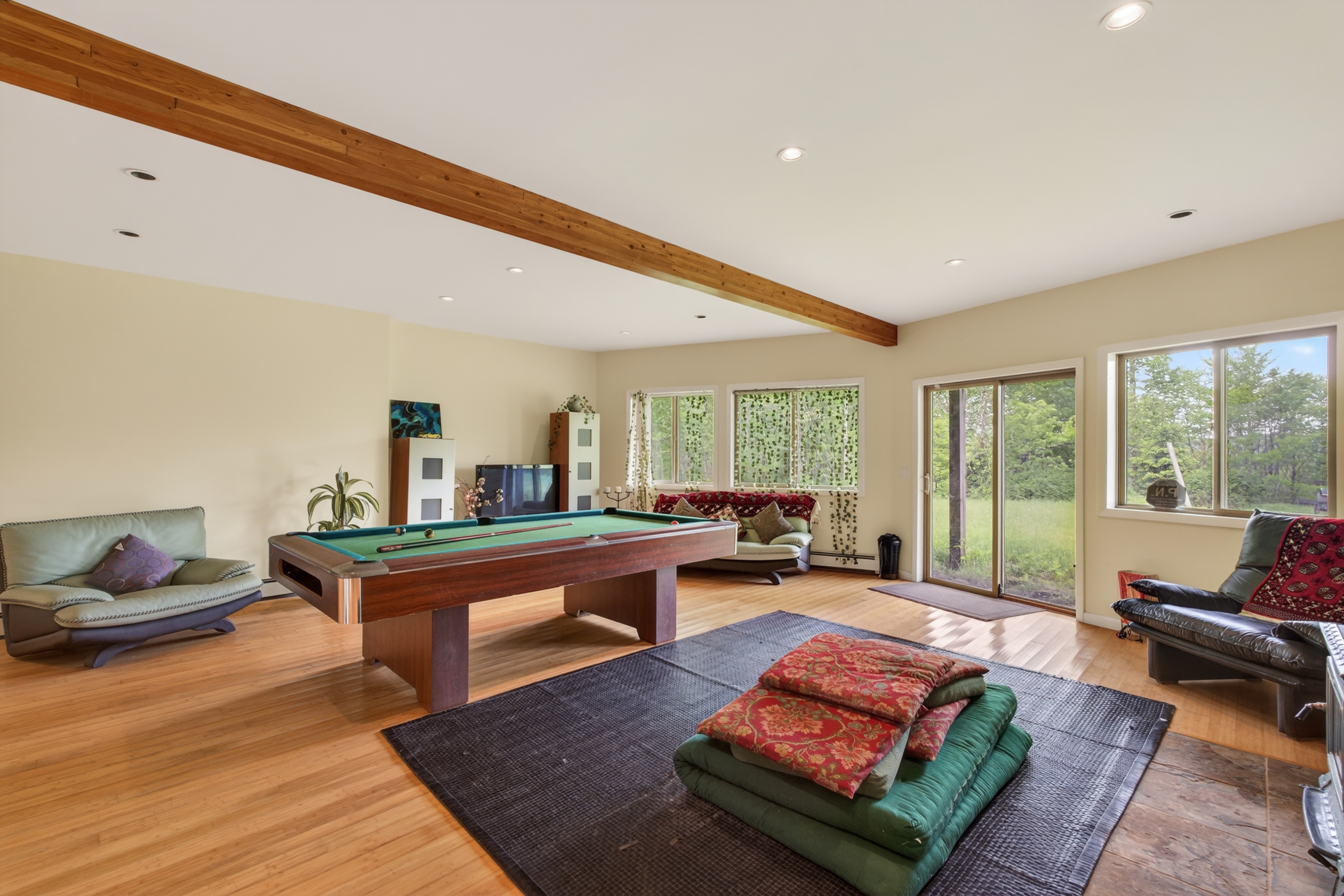  81 N Pond Drive, Livingston Manor, NY, 12758 - 物件實景