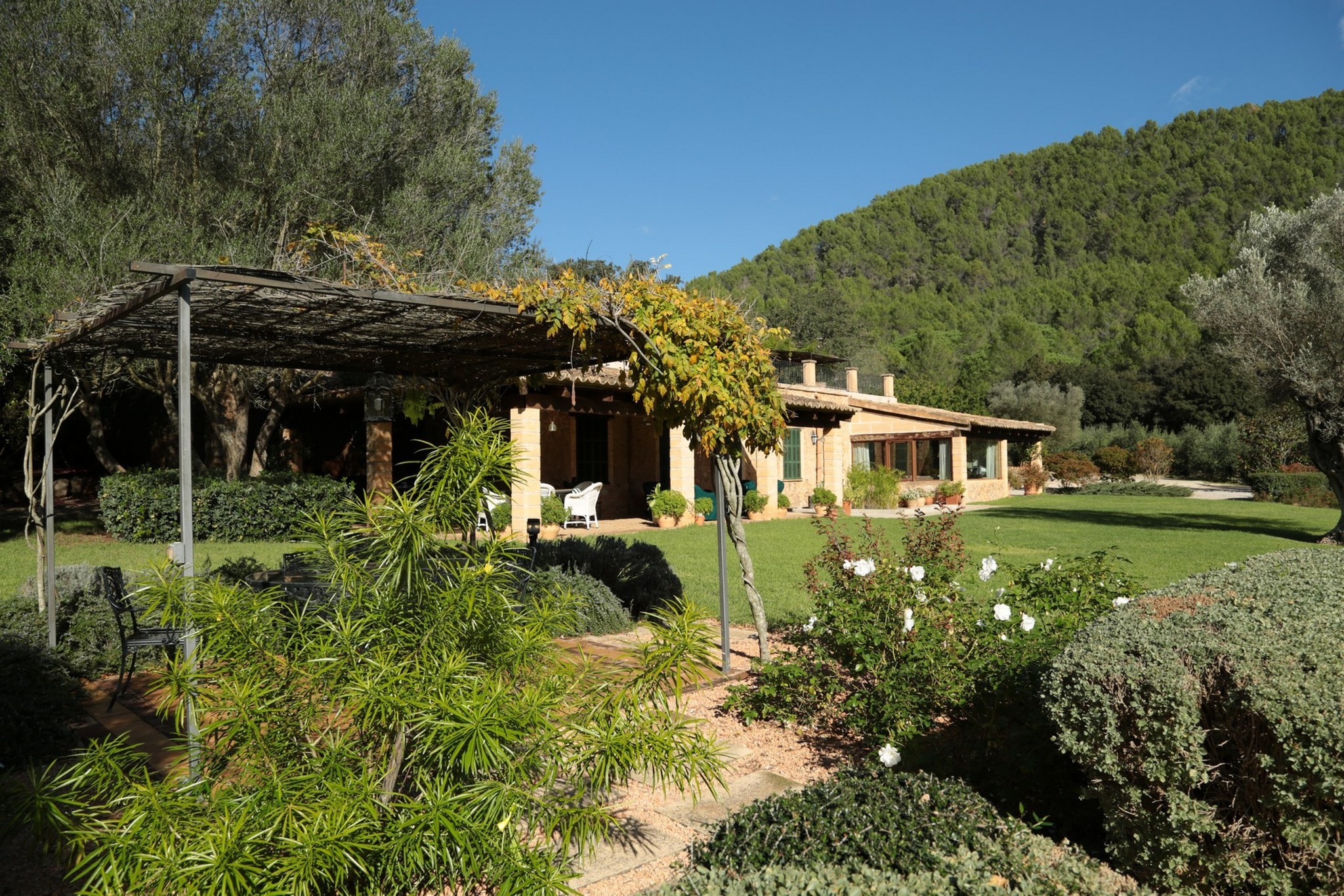  Country house with pool and mountain views in Esporlas - 物件實景