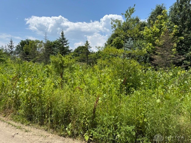 Mason, Ohio, 45040, United States, ,Land,For Sale,1885786