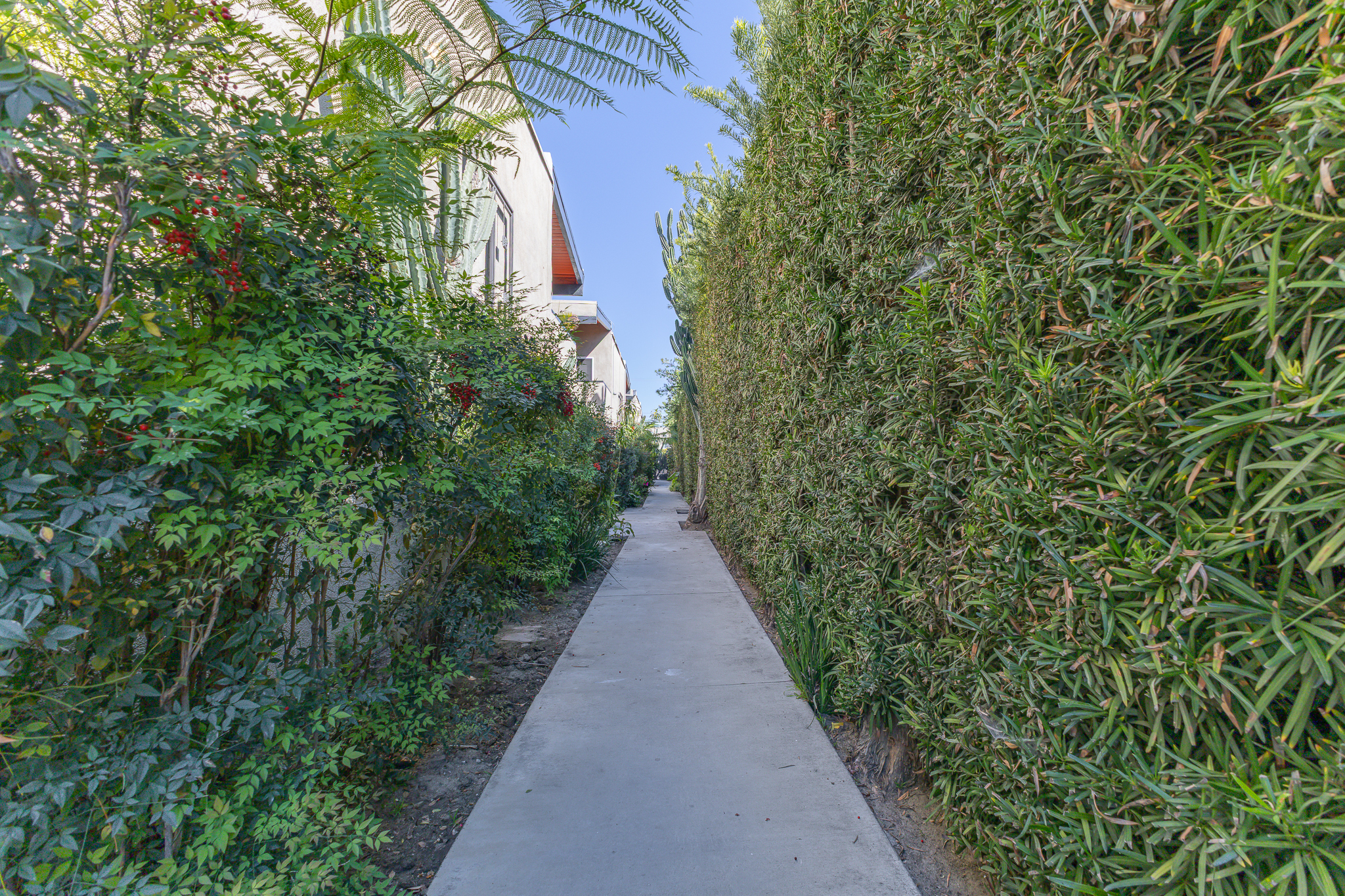  12014 Kling Street, #18 - 物件實景