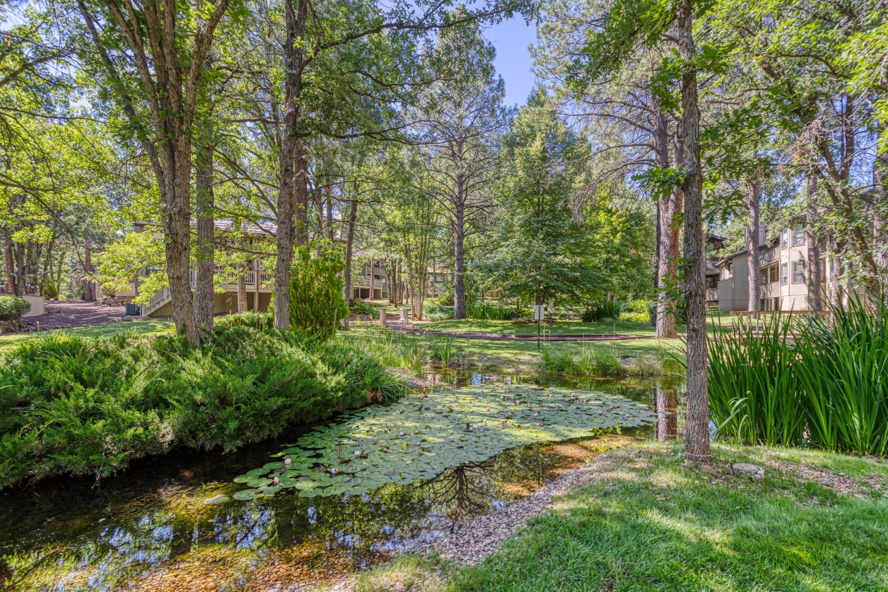  3651 Crown Dancer Drive¦Pinetop, AZ, - 物件實景