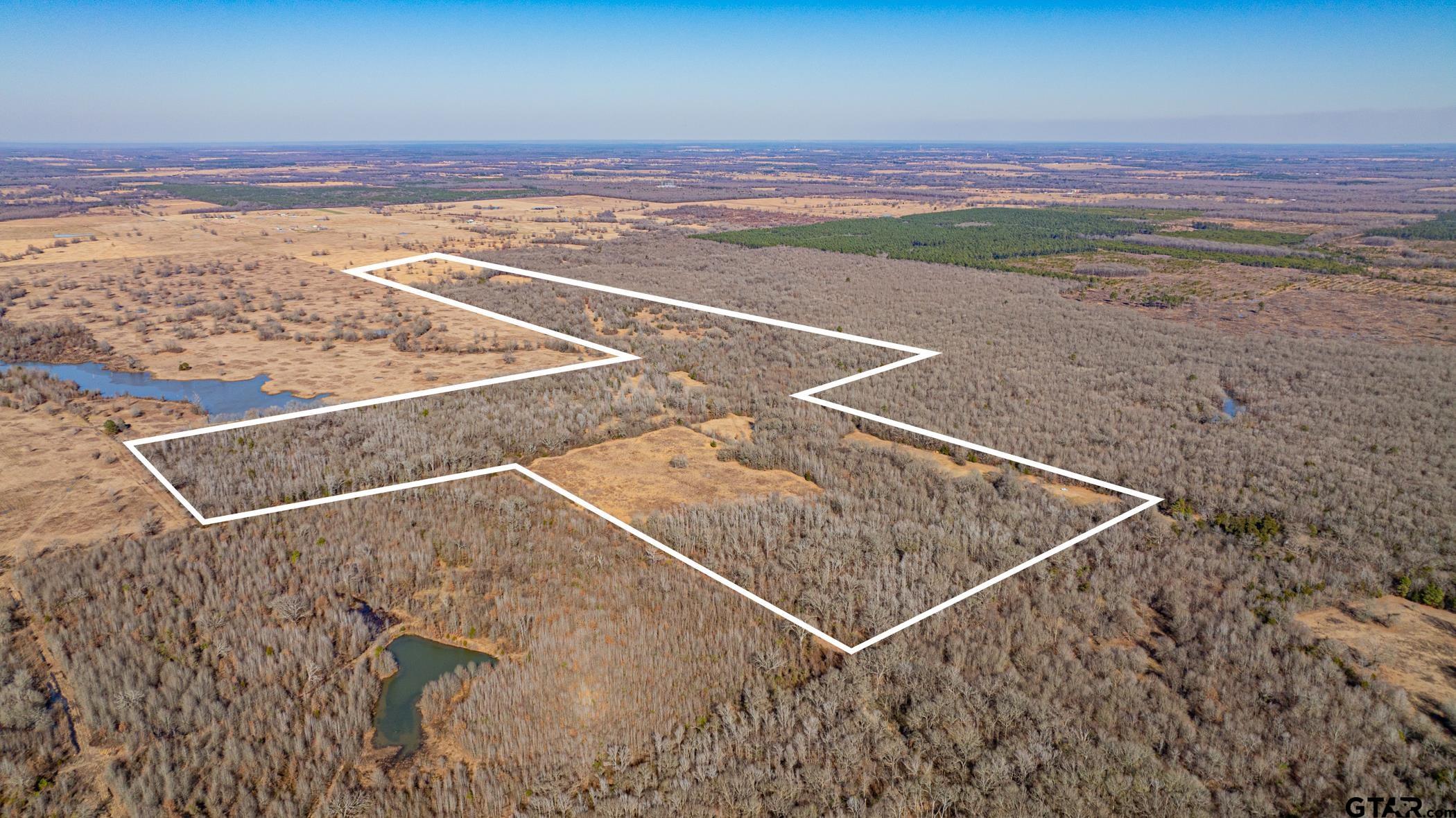 Dekalb, Texas, 75559, United States, ,Land,For Sale,1983481