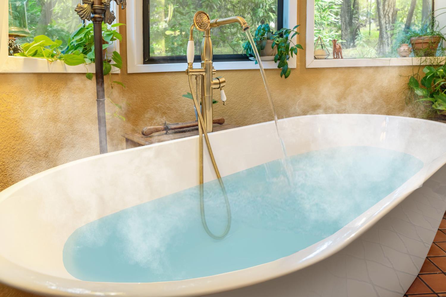 Foresthill, California, 95631, United States, 4 Bedrooms Bedrooms, ,3 BathroomsBathrooms,Residential,For Sale,2006028