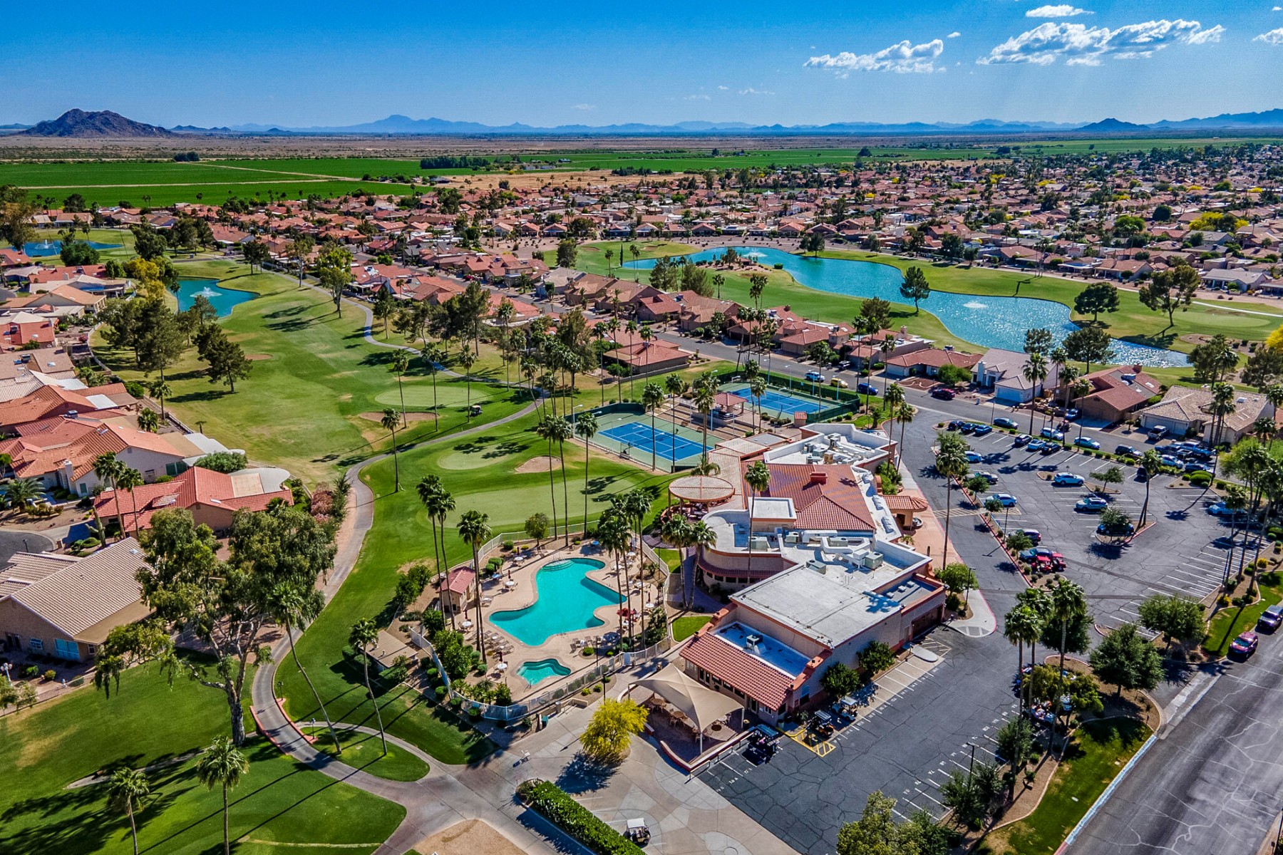  26202 S Flame Tree Drive  Sun Lakes, AZ - 物件實景