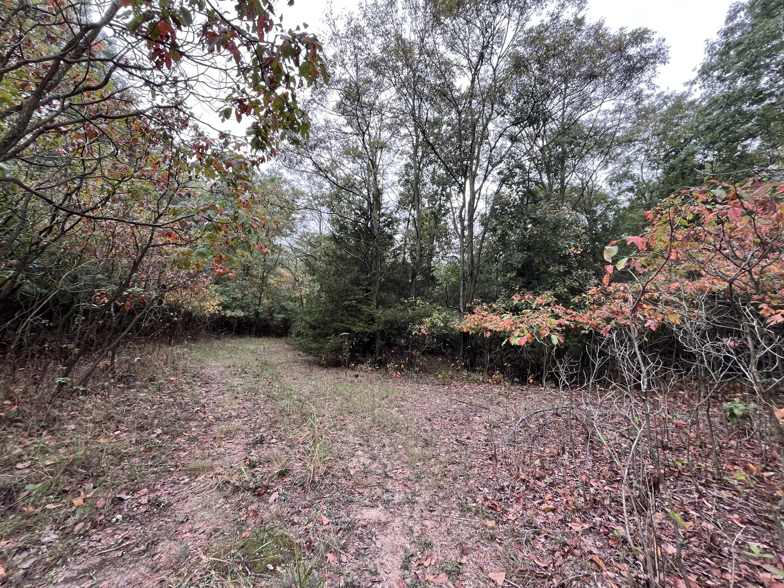 Holland, Michigan, 49423, United States, ,Land,For Sale,1984498