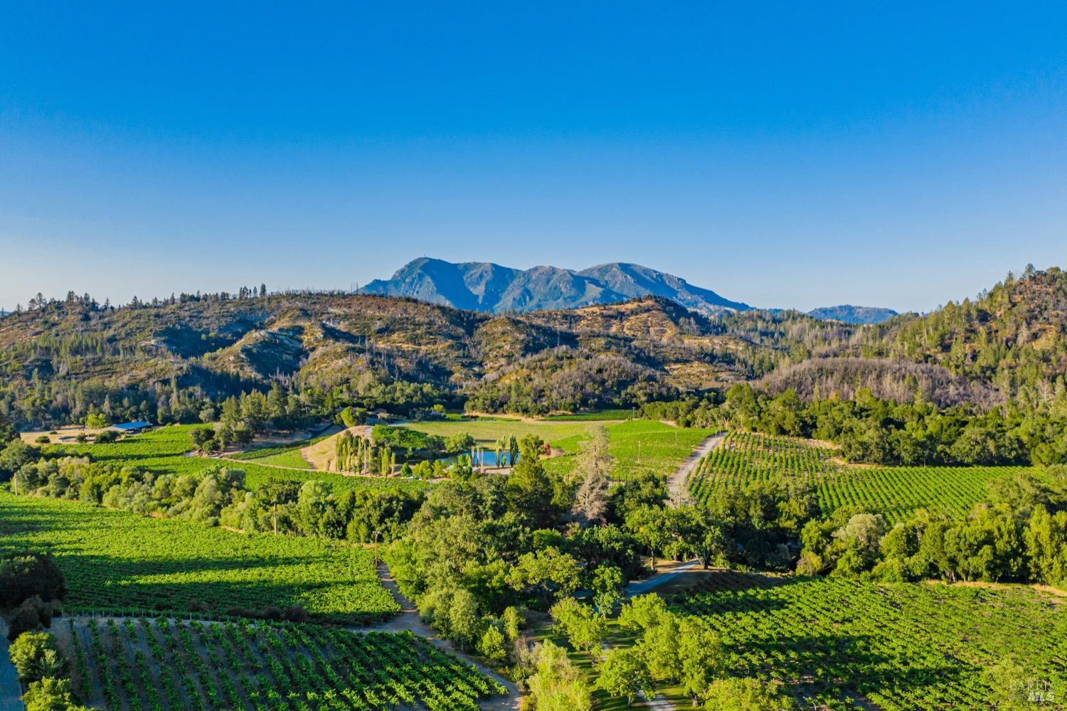 Calistoga, California, 94515, United States, 8 Bedrooms Bedrooms, ,10 BathroomsBathrooms,Residential,For Sale,1896819