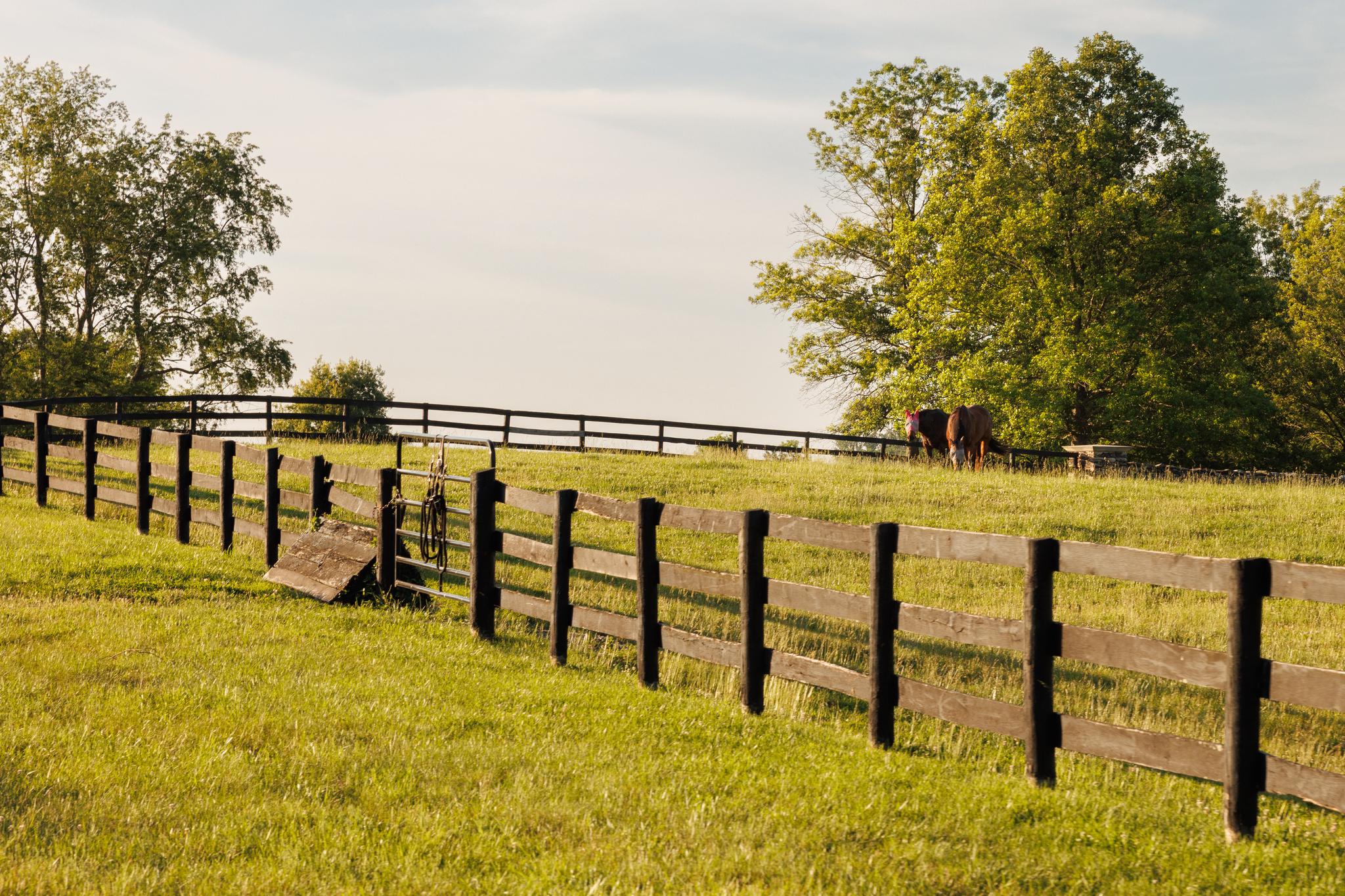  2597 Halfway Road, The Plains, VA, 20198 - 物件實景