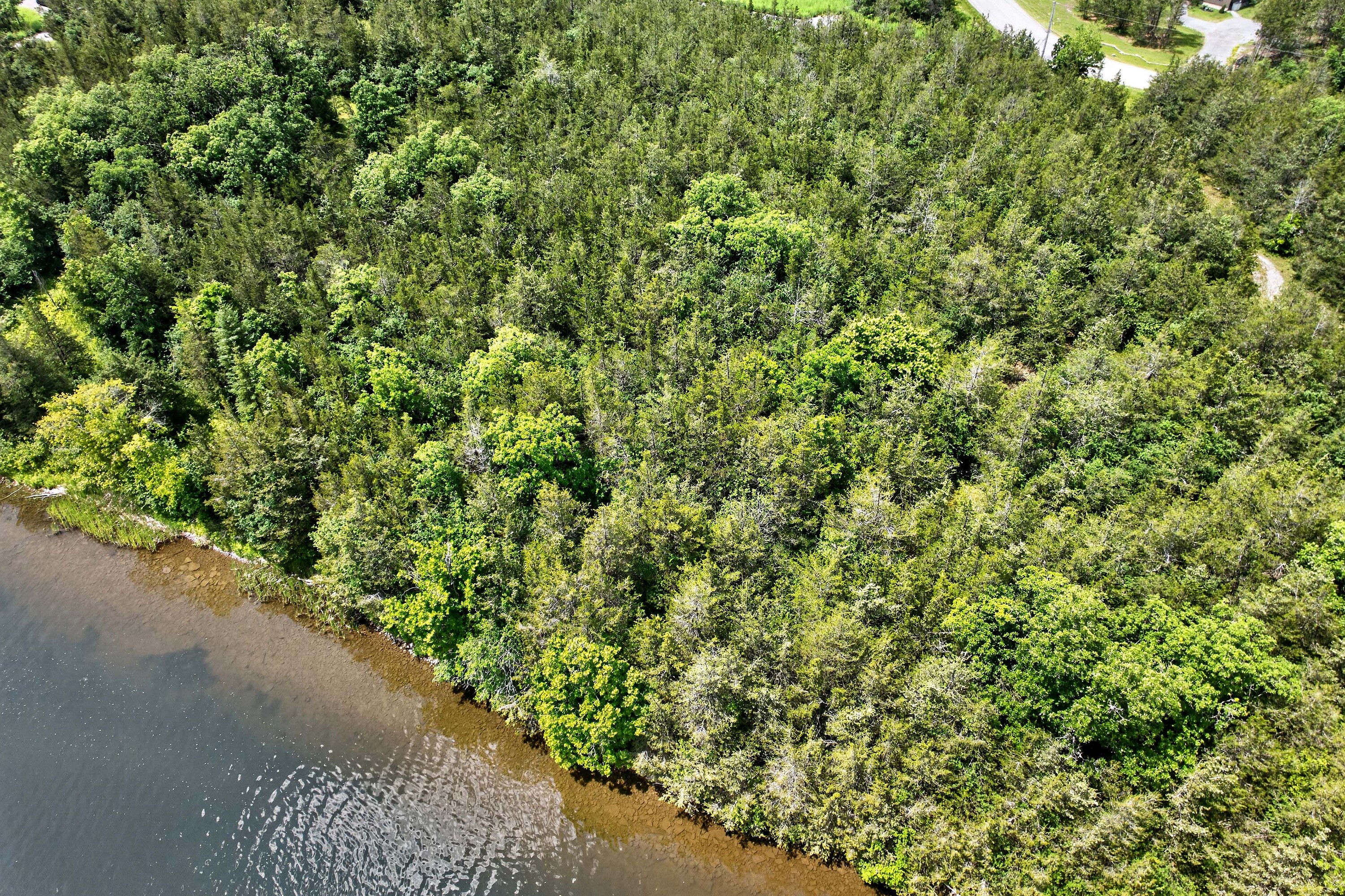  Trent Hills, Eastern Ontario - 物件實景