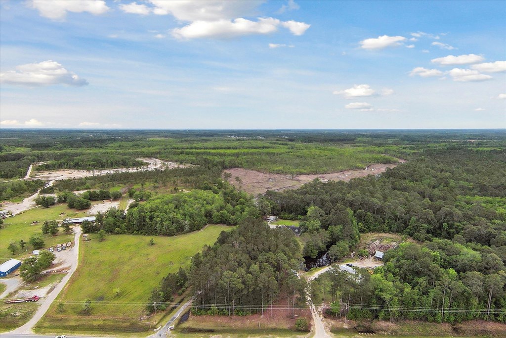 5278 NE Elim Church Road Ne Road, Ludowici, Georgia, 31316, United States, 3 Bedrooms Bedrooms, ,2 BathroomsBathrooms,Residential,For Sale,5278 NE Elim Church Road Ne Road,1437237