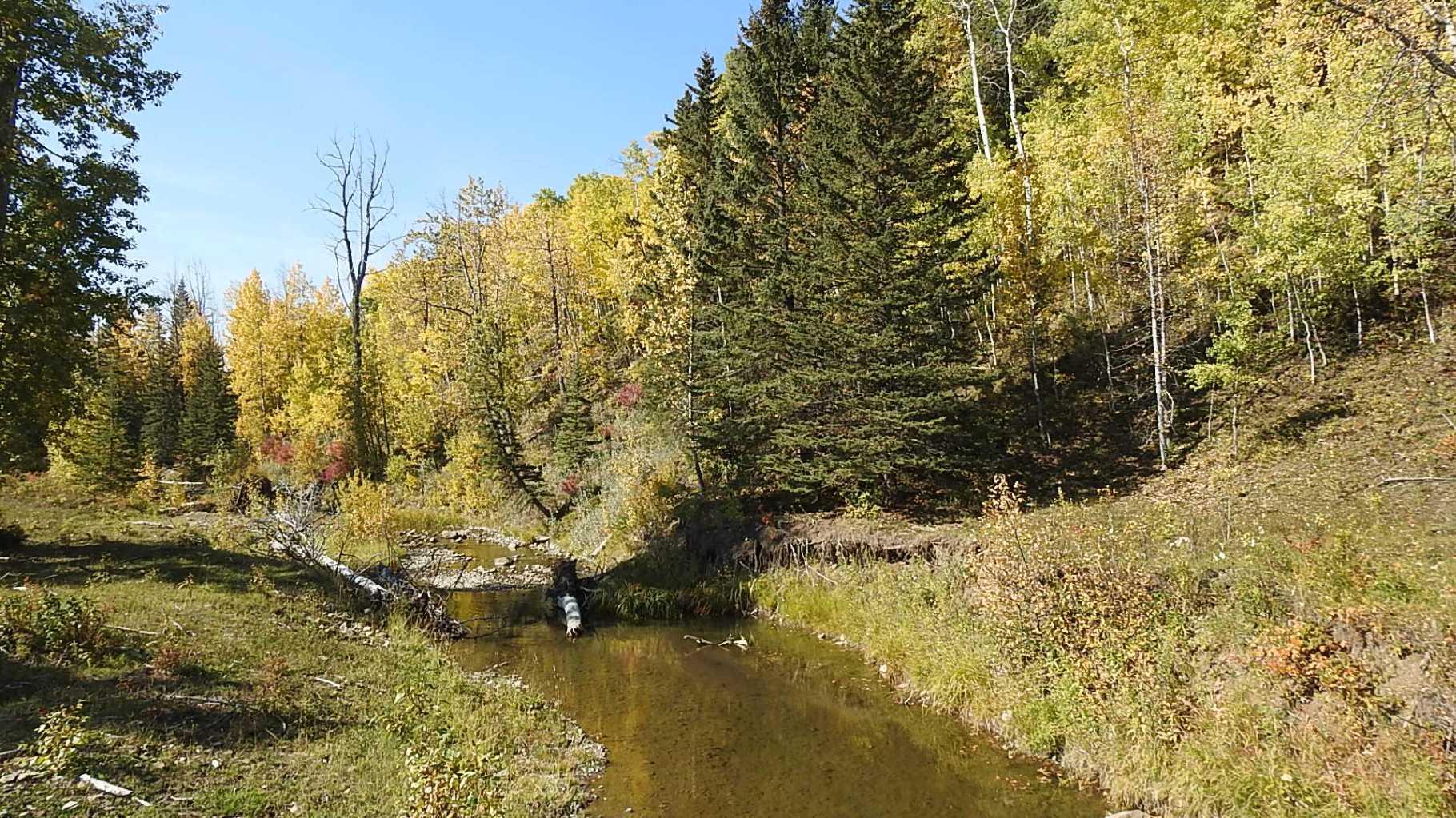 RURAL FOOTHILLS COUNTY, Alberta, T0L 1K0, CA, ,Residential,For Sale,1836944