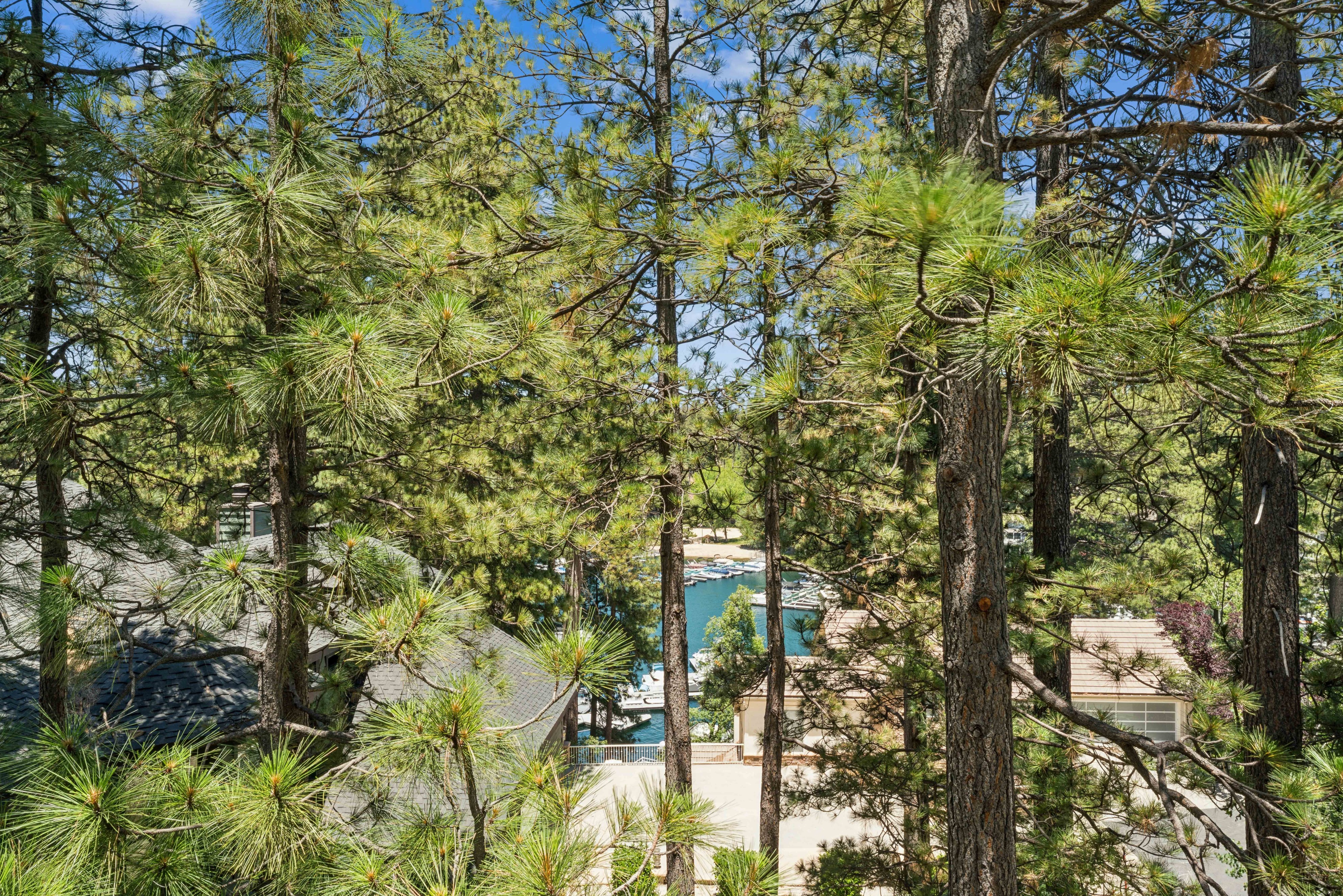  304 Lake Knoll Drive, Lake Arrowhead, CA 92352 - 物件實景