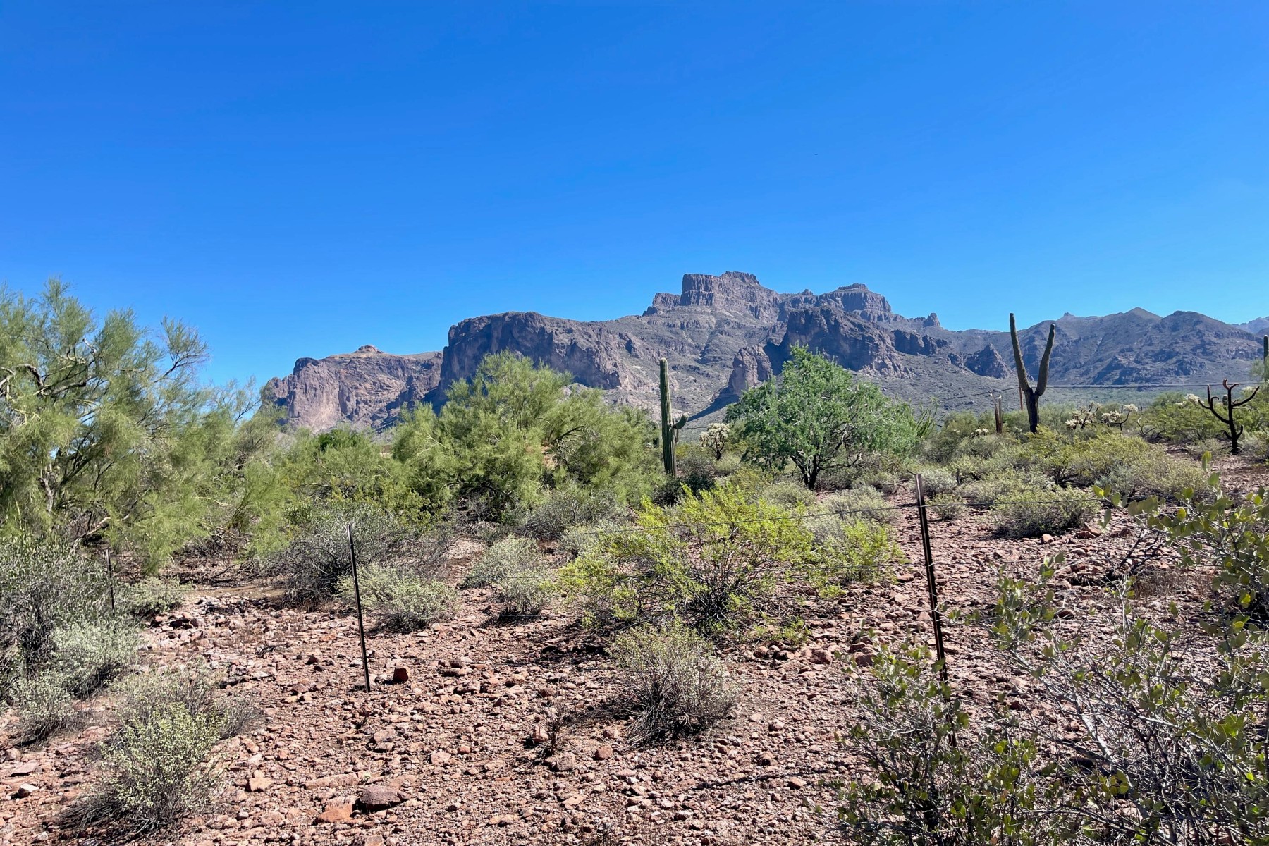  52 E Scenic (geronimo) Street¦Apache Junction, AZ - 物件實景