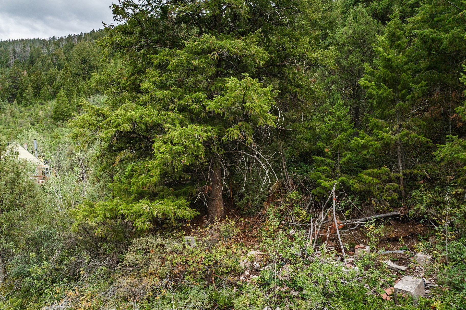  One+ Acre Off Mirror Lake Highway  Power, Septic Plan & Year Round Access - 物件實景