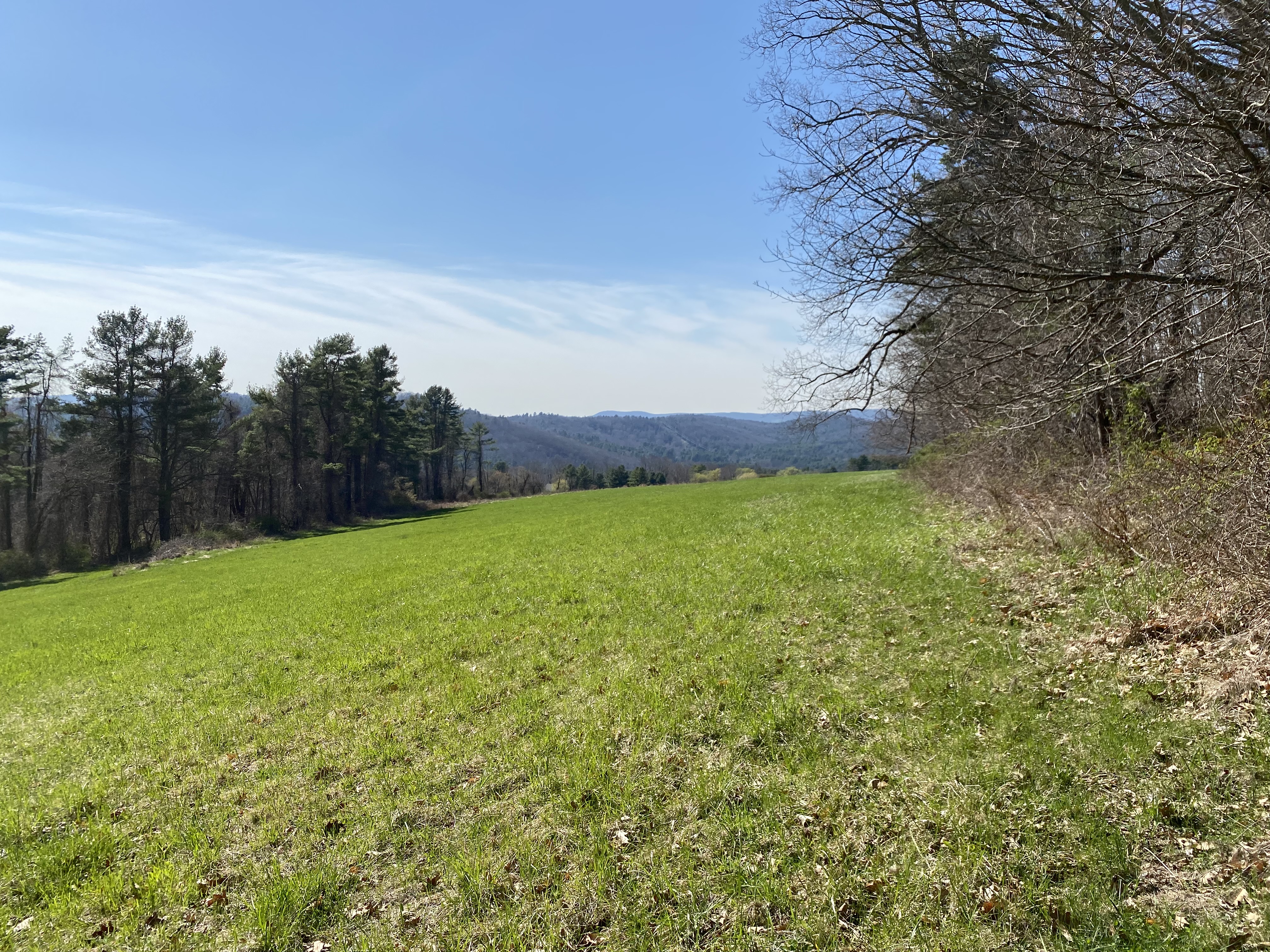  198-2 Beebe Hill Road - 物件實景