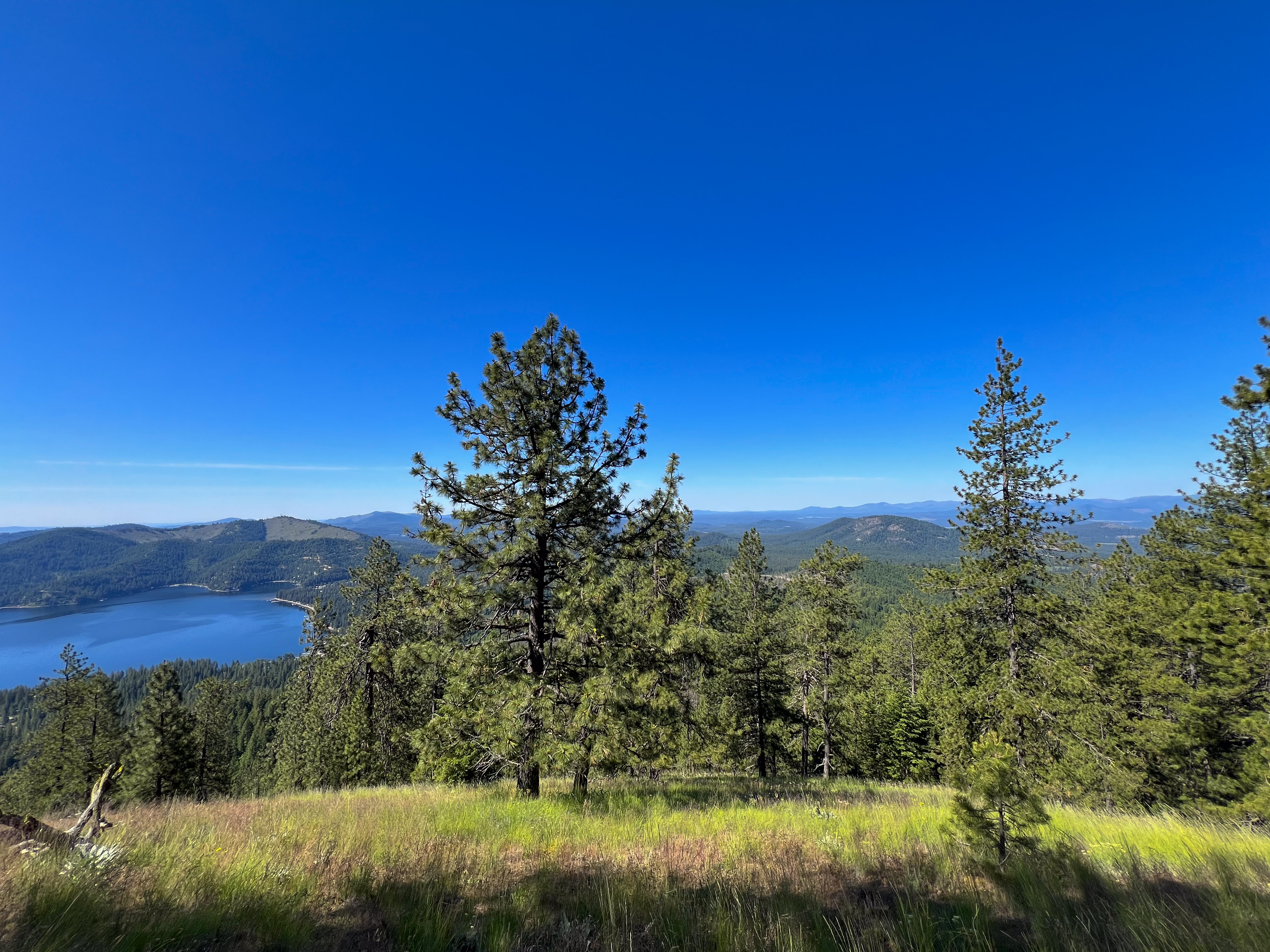 Loon Lake, Washington, 99148, United States, ,Residential,For Sale,1922836