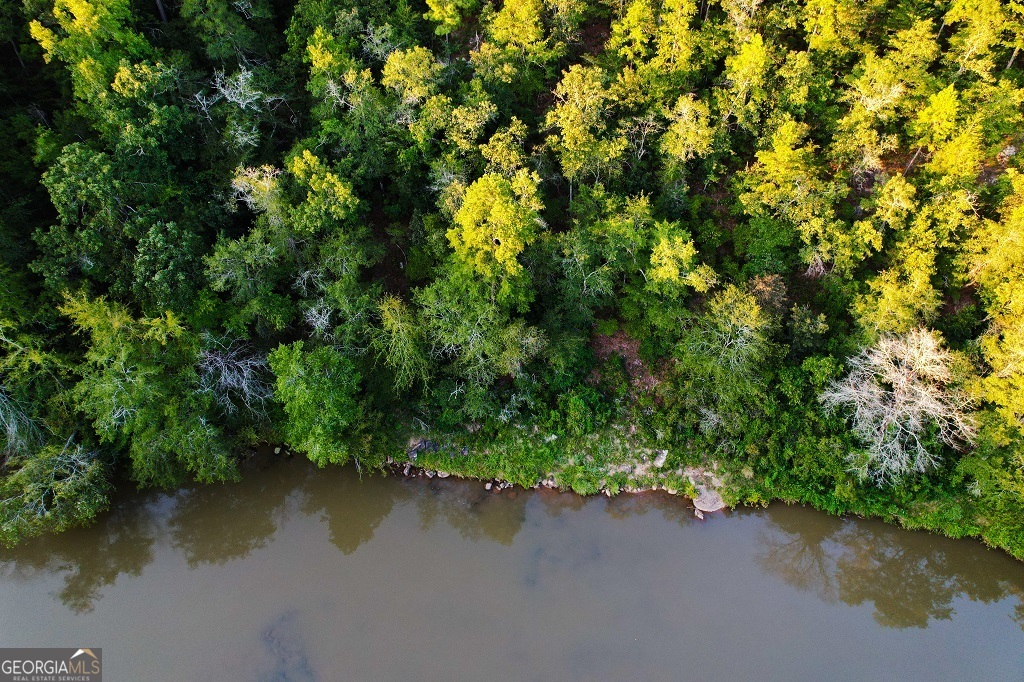 Bowman, Georgia, 30624, United States, ,Land,For Sale,1988197