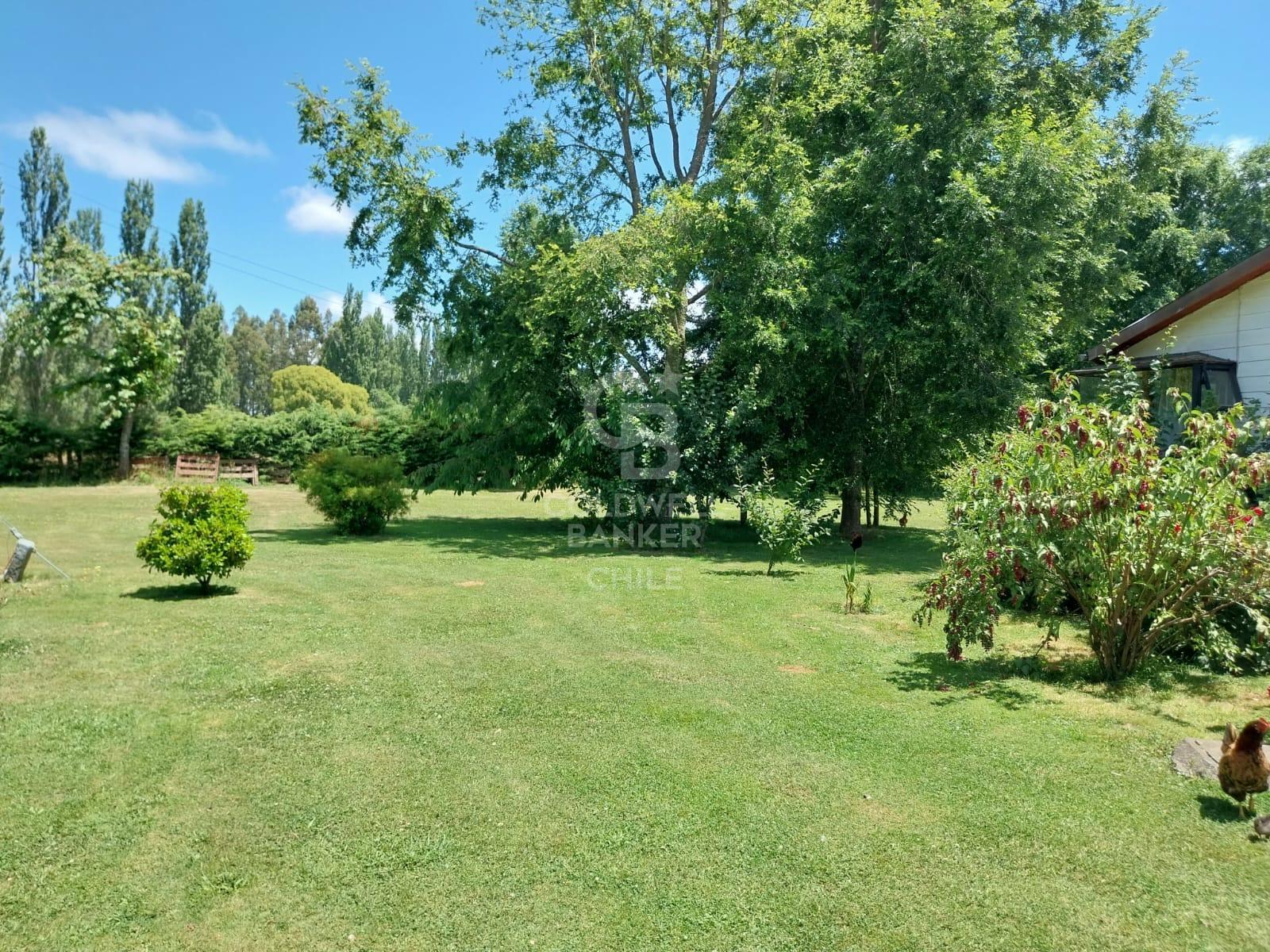 Río Bueno, Chile, 3 Bedrooms Bedrooms, ,2 BathroomsBathrooms,Residential,For Sale,1960661