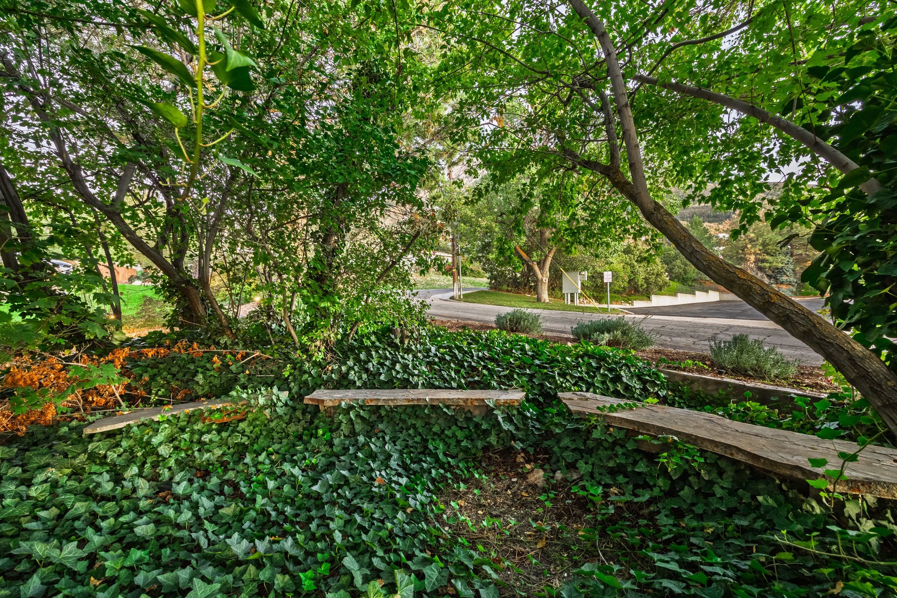  Olympus Cove Rambler with Walk-out Basement to Spacious Backyard - 物件實景