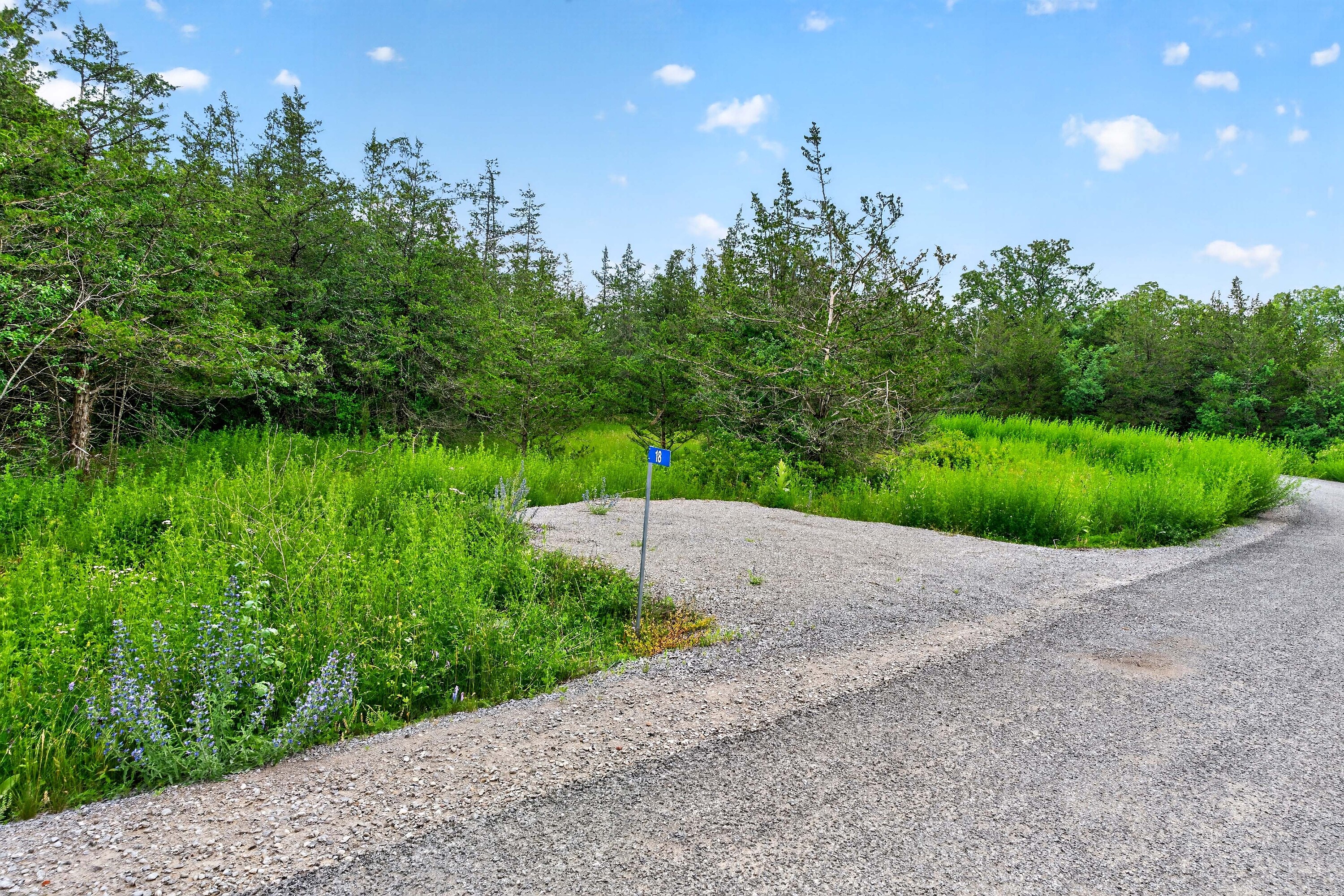  Trent Hills, Eastern Ontario - 物件實景