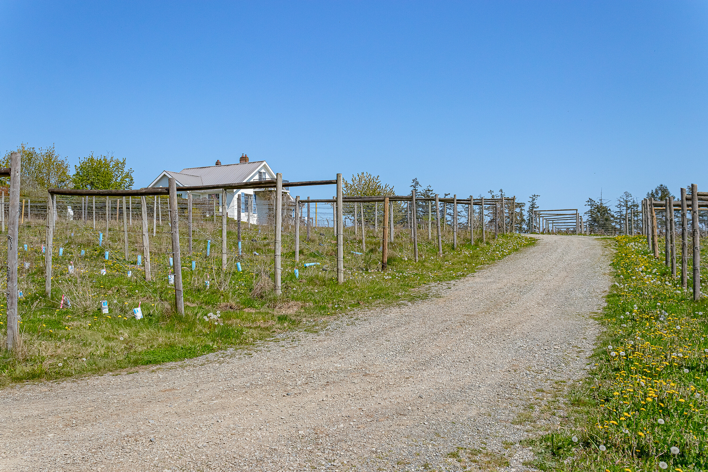  Welcome to Emandare Vineyard - 物件實景