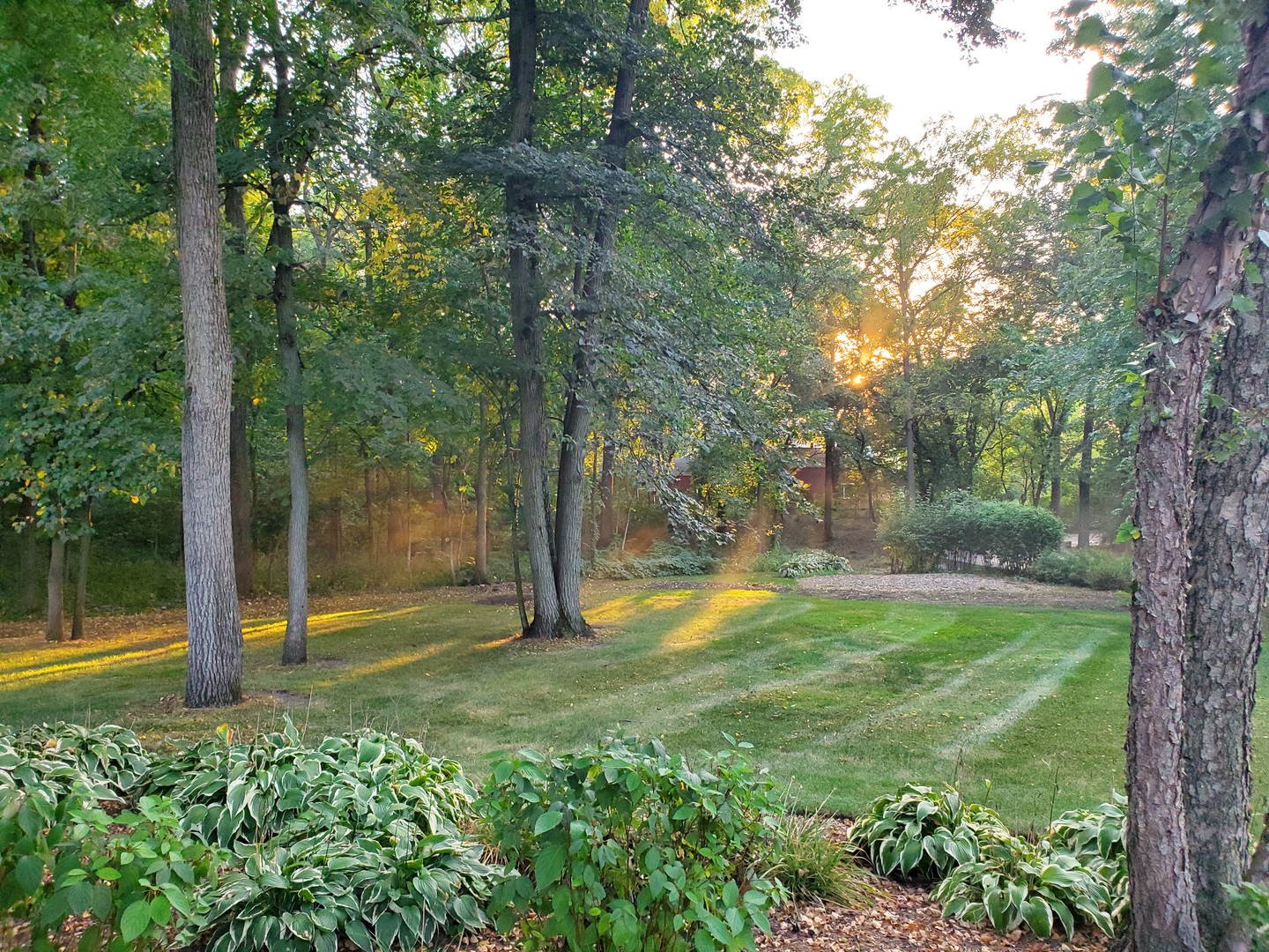 Wayne, Illinois, 60184, United States, 5 Bedrooms Bedrooms, ,7 BathroomsBathrooms,Residential,For Sale,2006495