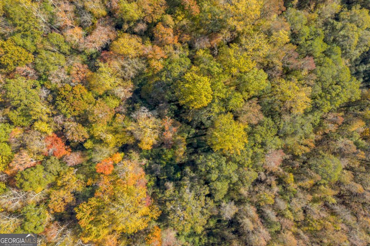 Conyers, Georgia, 30012, United States, ,Land,For Sale,1990963