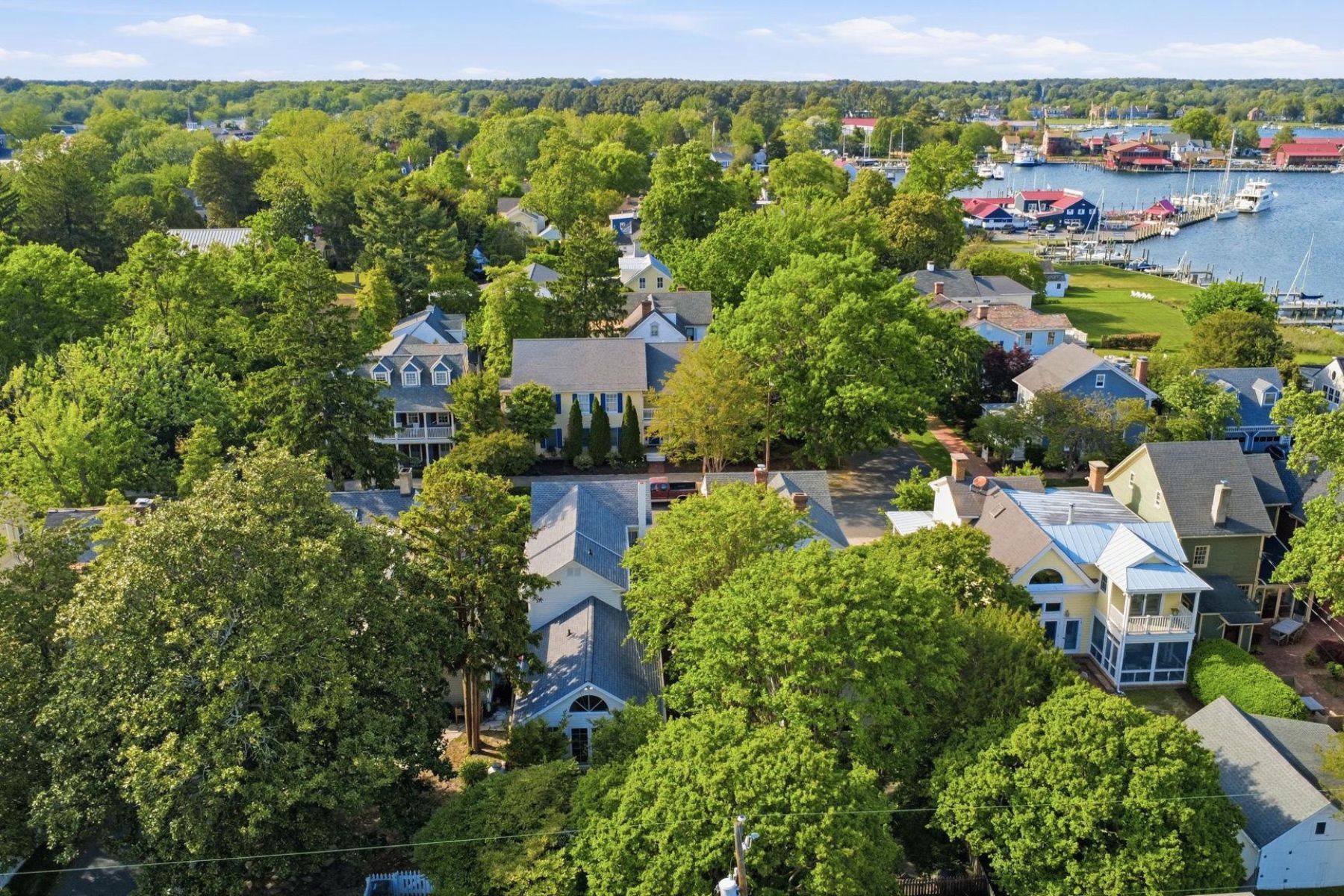  202 East Chestnut Street, Saint Michaels, MD 21663 - 物件實景