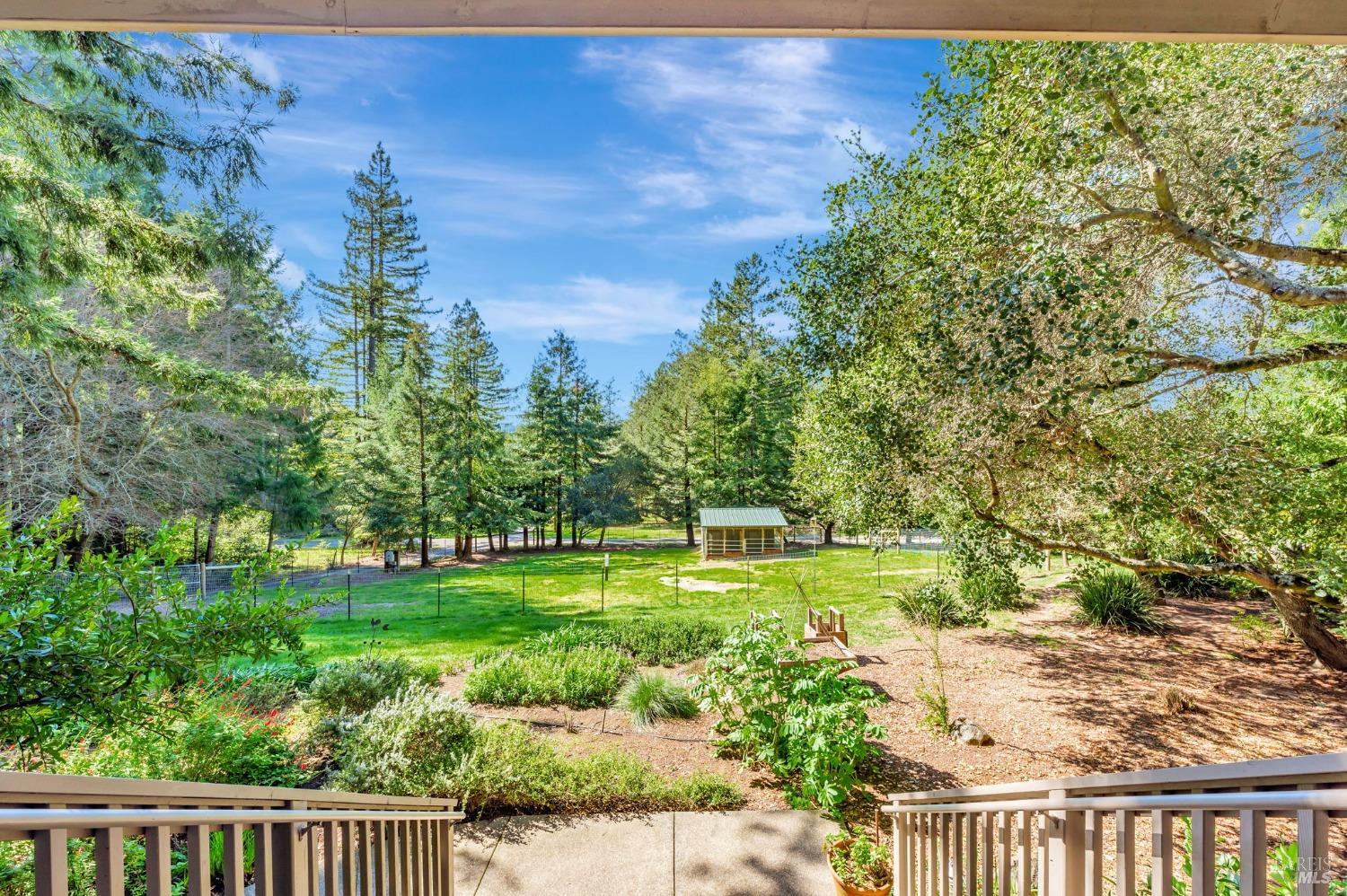 Sebastopol, California, 95472, United States, 4 Bedrooms Bedrooms, ,3 BathroomsBathrooms,Residential,For Sale,1989317