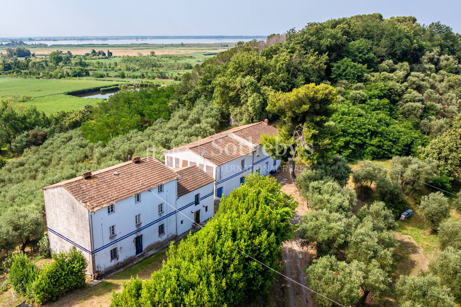  Elegant Tuscan Villa with pool, pond and dépandance - 物件實景