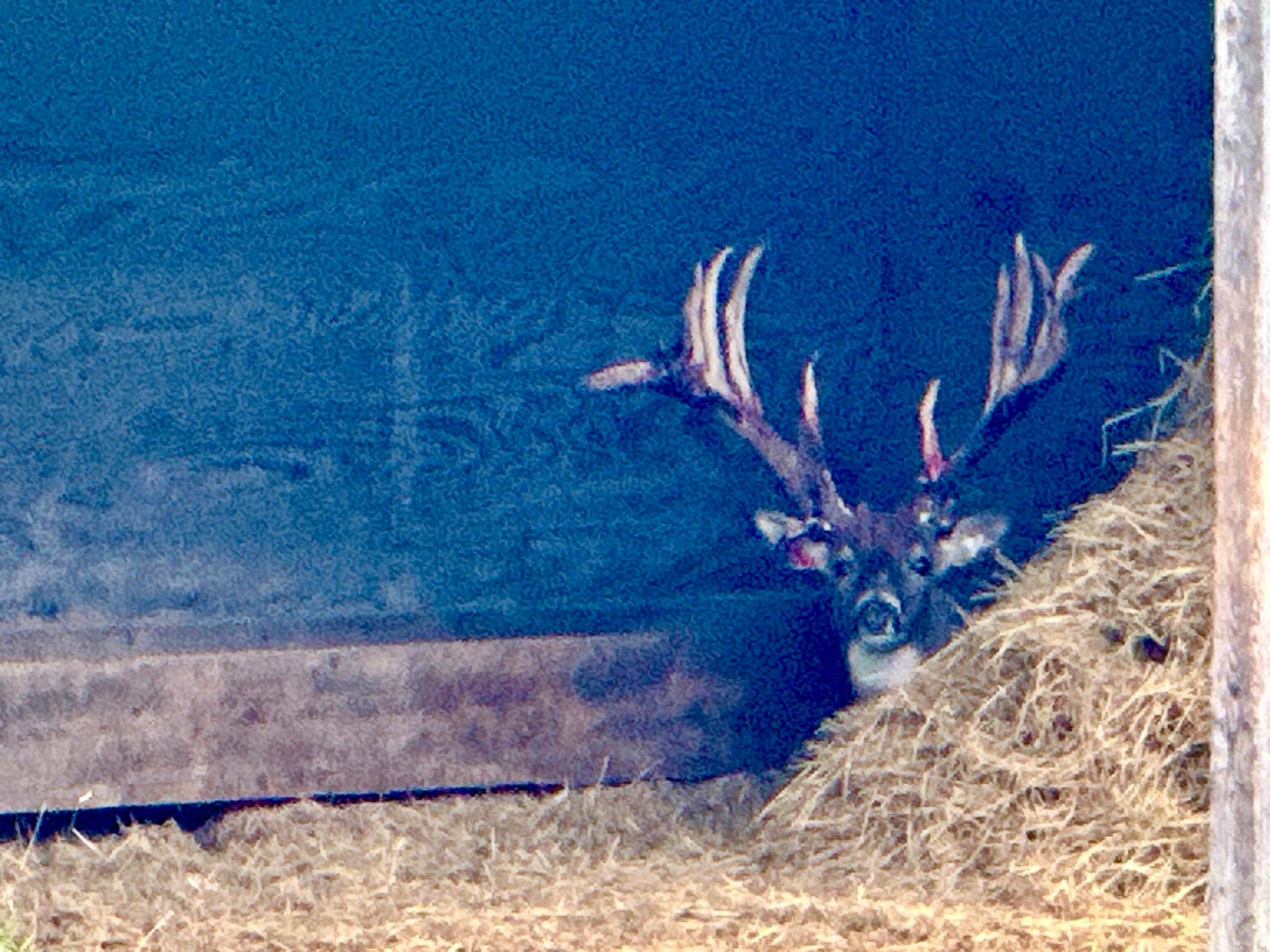 Lake Tomahawk, Wisconsin, 54487, United States, ,Residential,For Sale,1973874