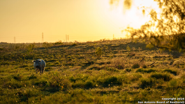 Kingsbury, Texas, 78638, United States, ,Residential,For Sale,1988121