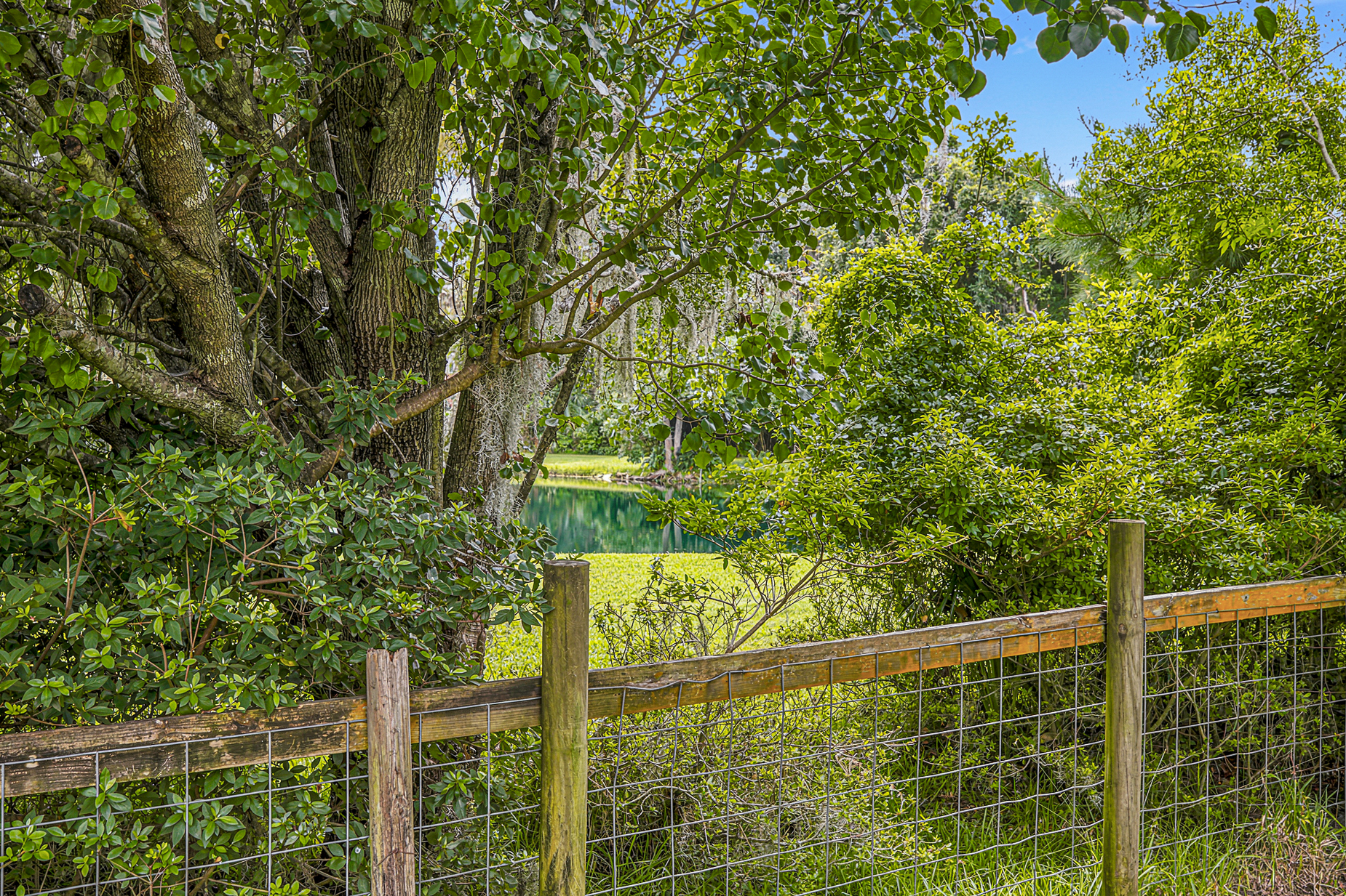  154 Settlers Hammock Circle - 物件實景