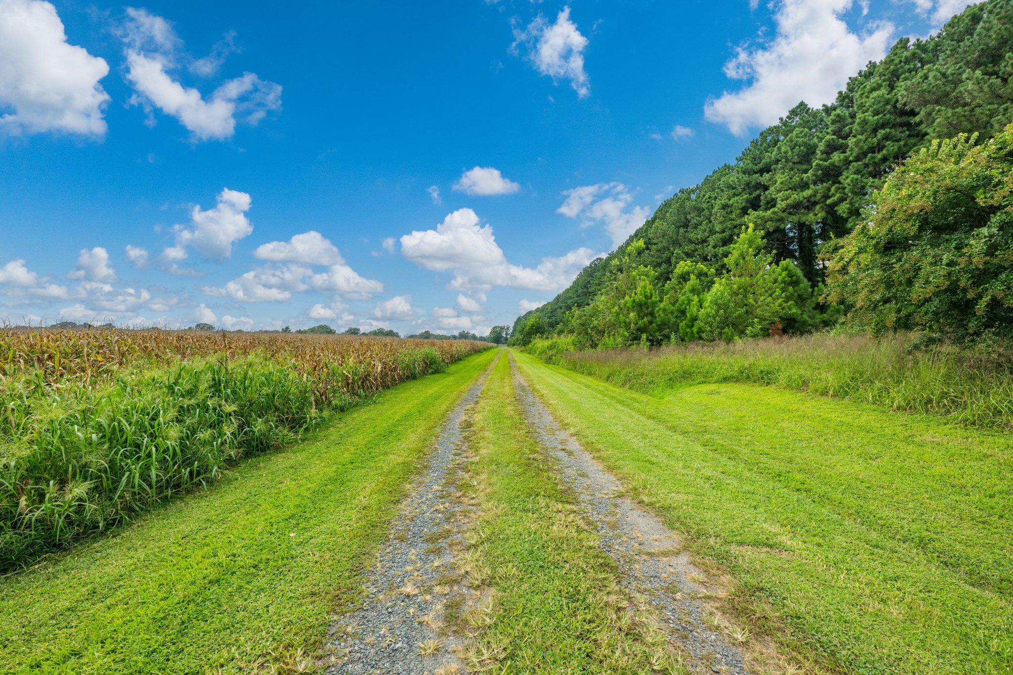  491 Wye Island Road, Queenstown, MD, 21658 - 物件實景