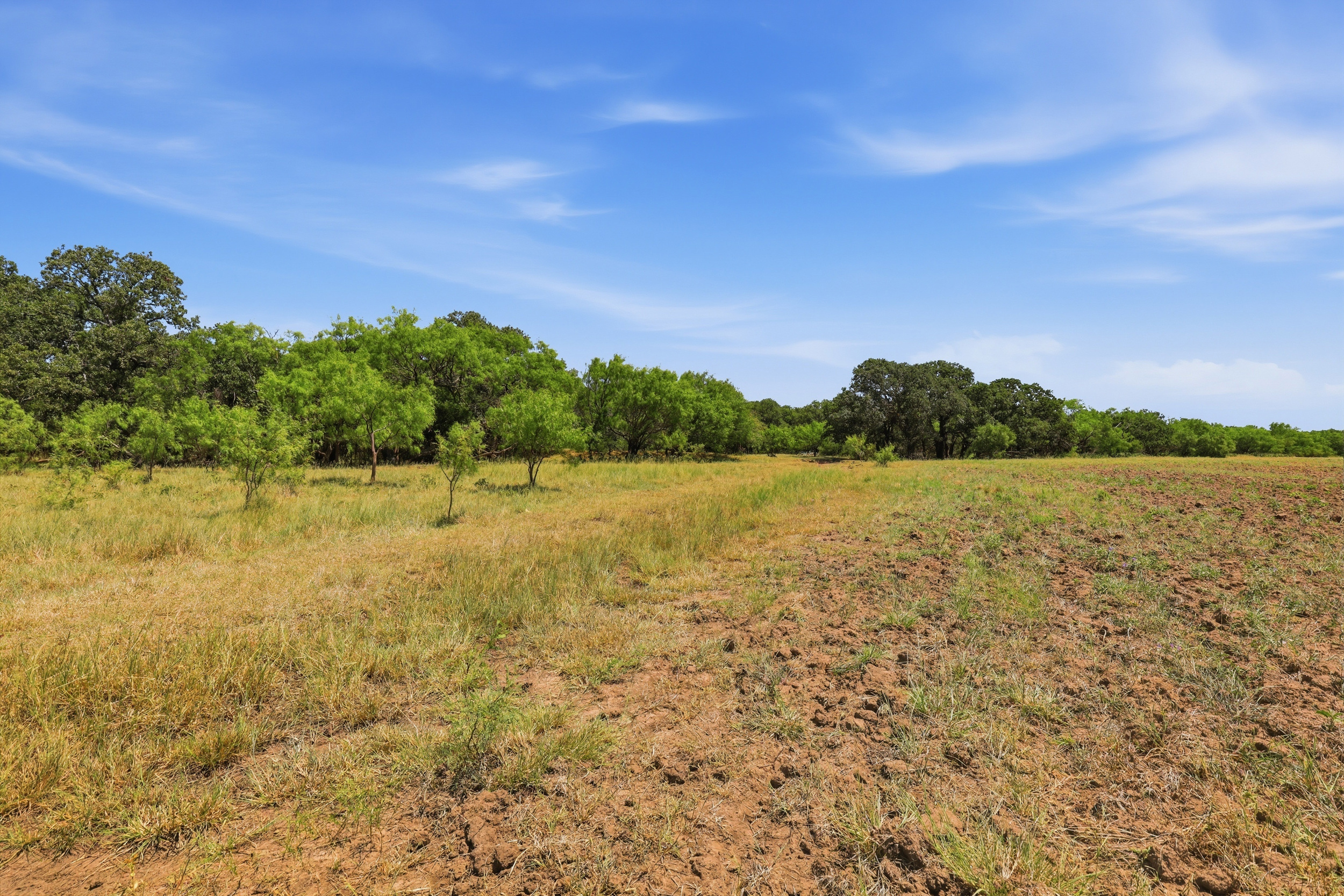  125 Acres of Texas Land for Recreation and Retreat - 物件實景