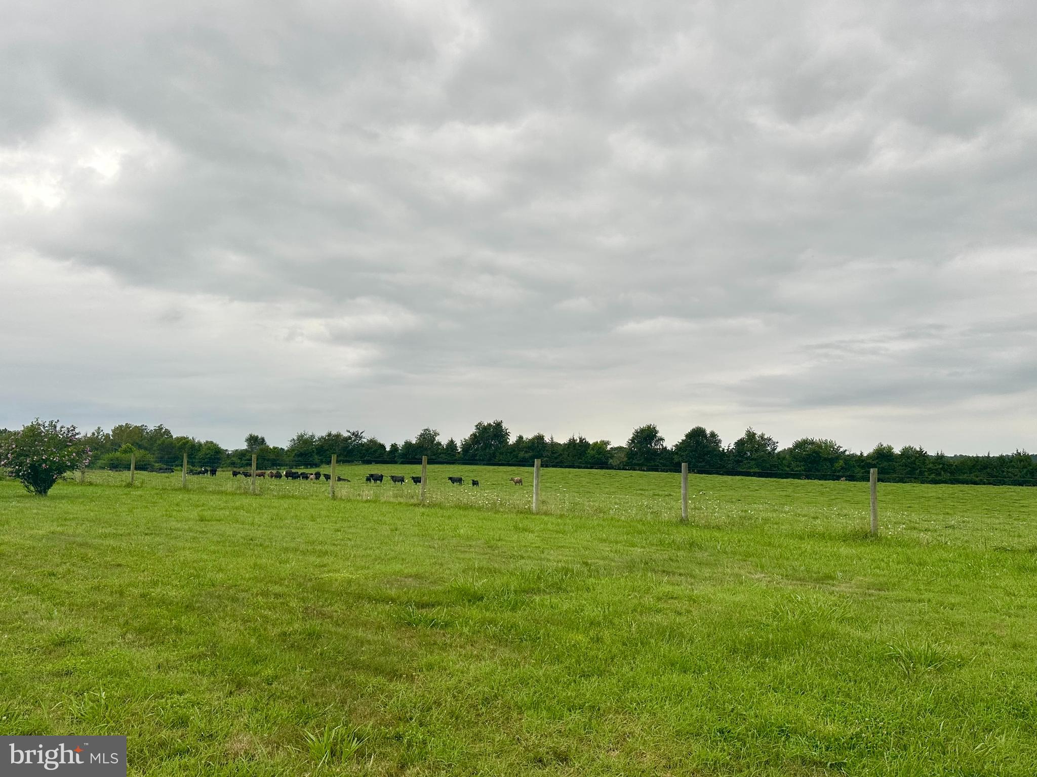 Stevensburg, Virginia, 22741, United States, 3 Bedrooms Bedrooms, ,2 BathroomsBathrooms,Residential,For Sale,1905838