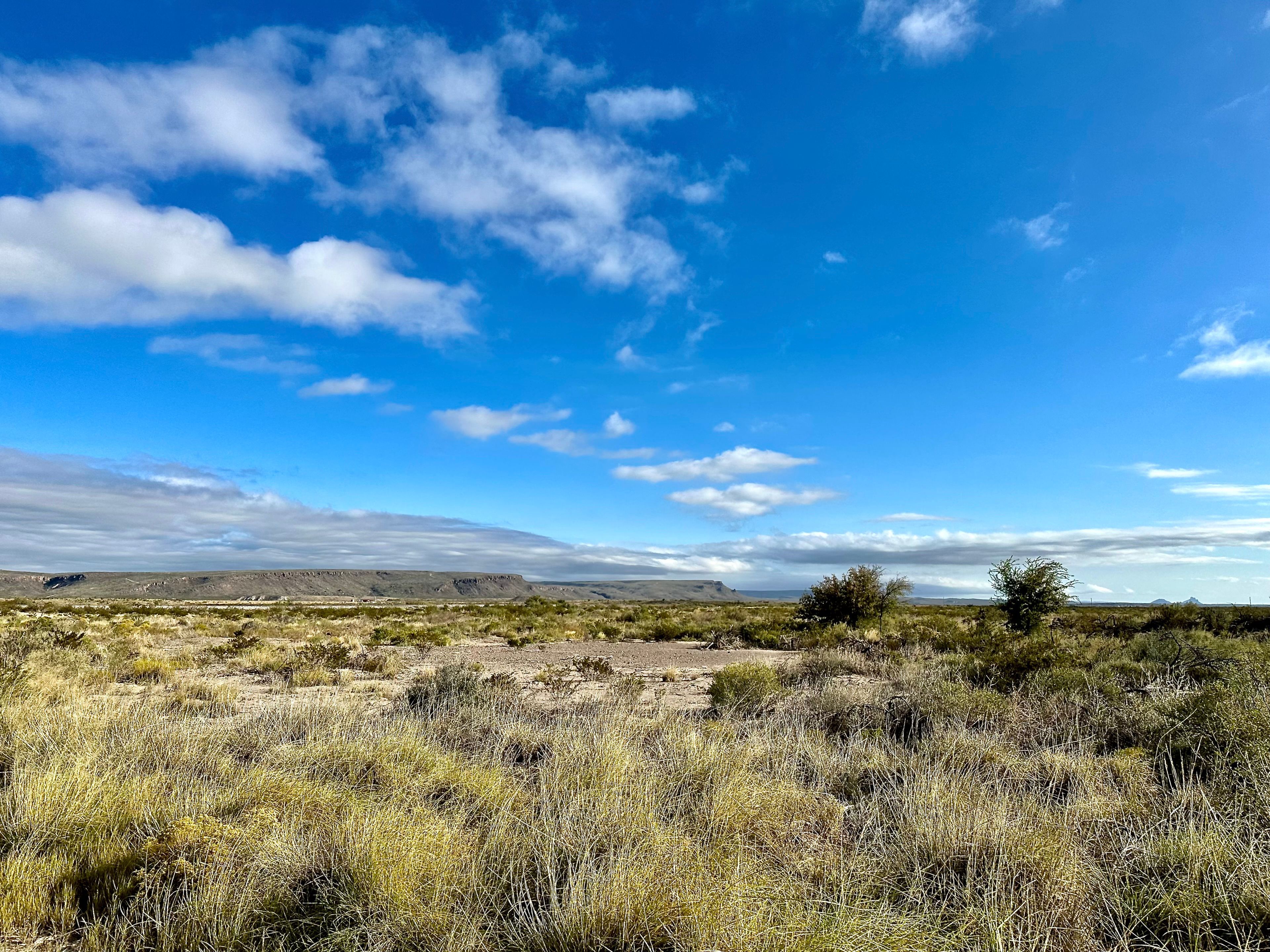  The Alamito Ranch in Presidio County - 物件實景