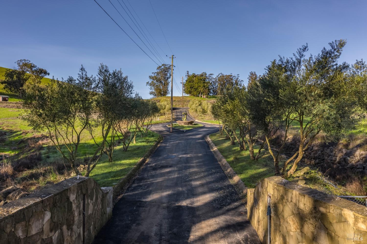 Penngrove, California, 94951, United States, ,Land,For Sale,1708043