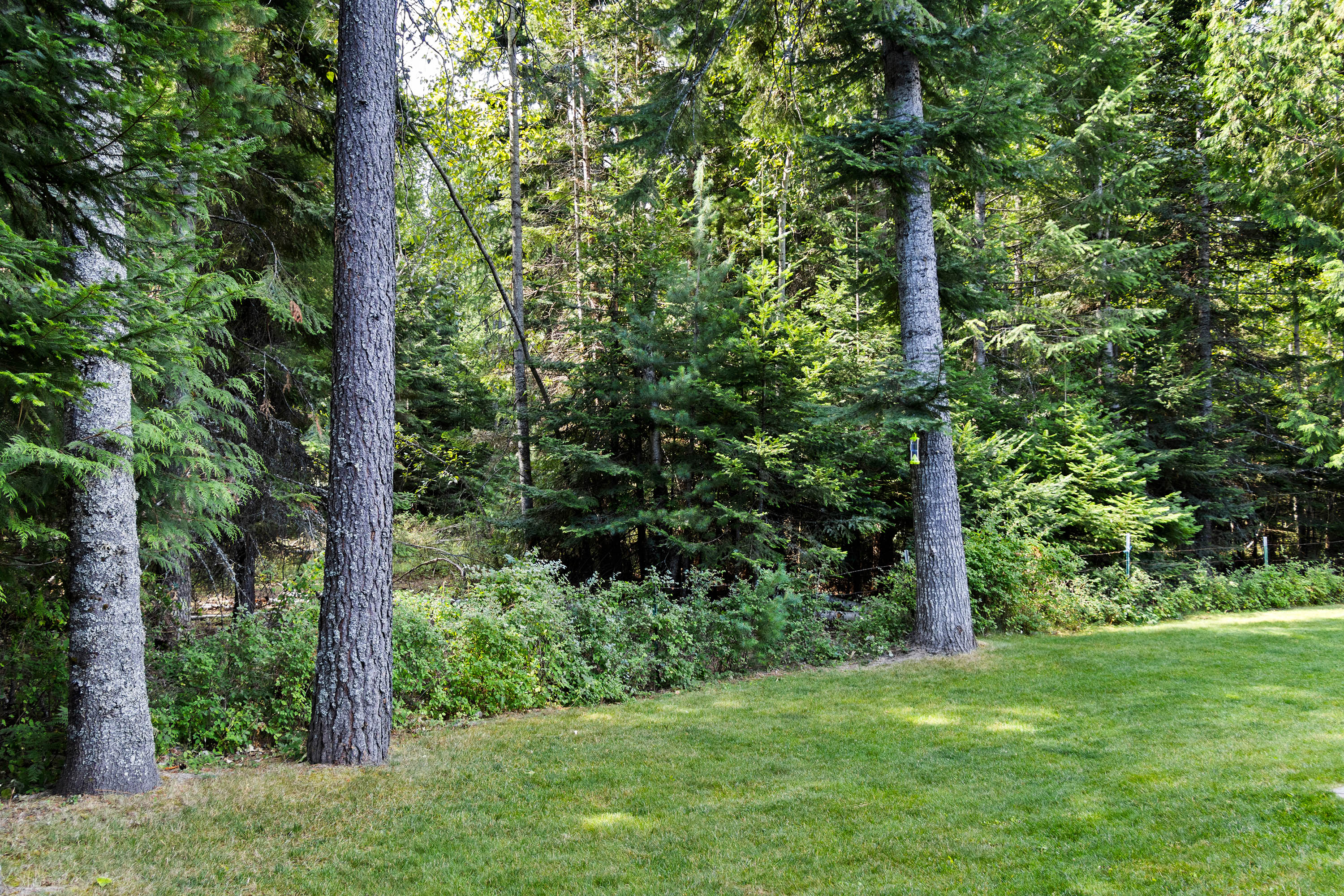 Sandpoint, Idaho, 83864, United States, 3 Bedrooms Bedrooms, ,2 BathroomsBathrooms,Residential,For Sale,1975029