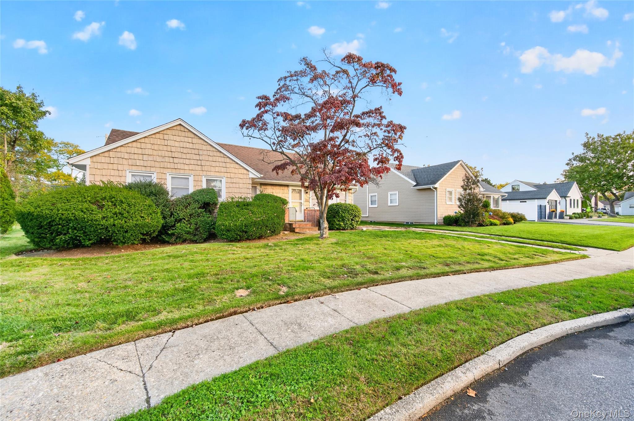  716 Truman Avenue, East Meadow, NY, 11554 - 物件實景