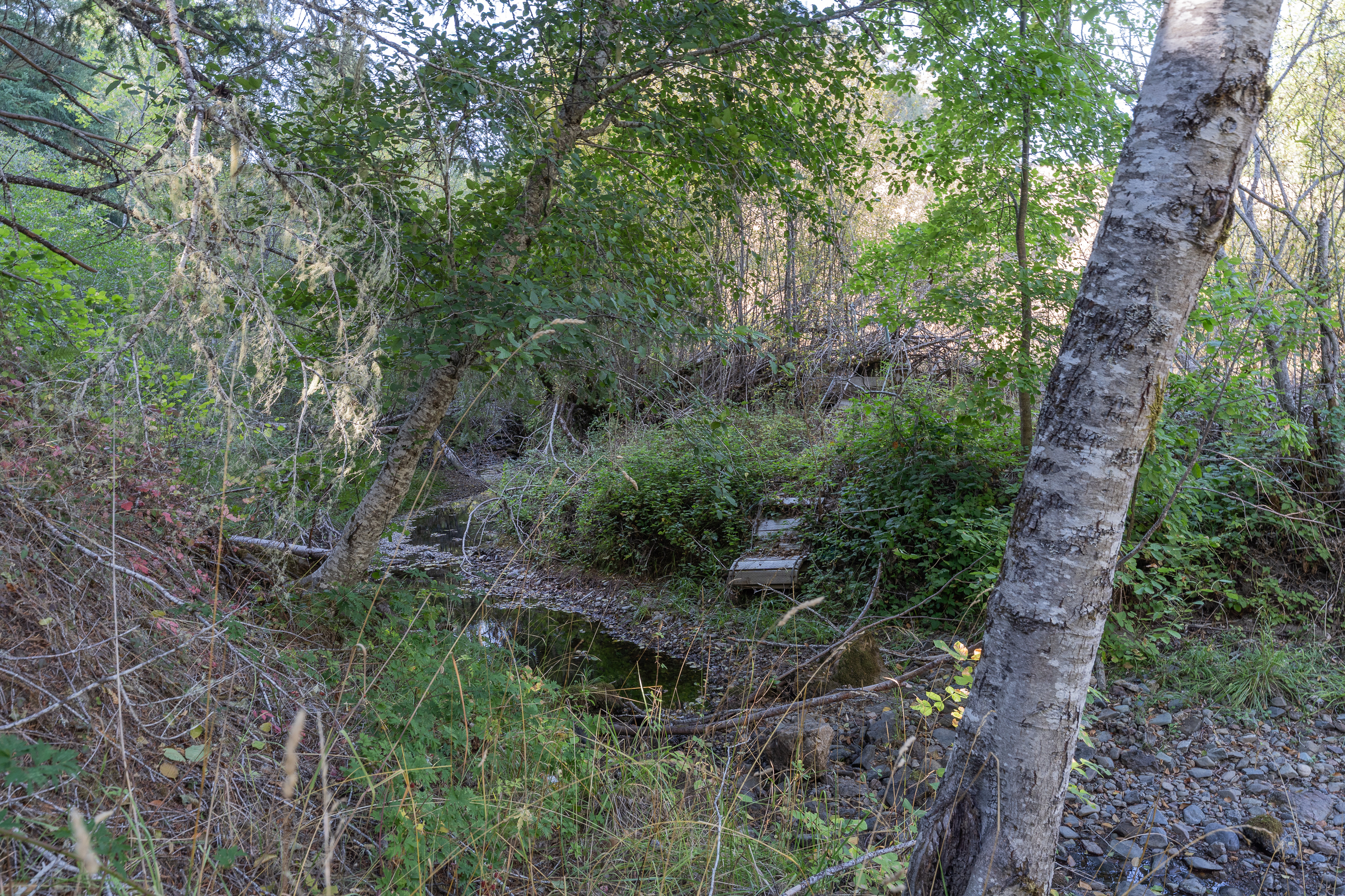 Willits, California, 95490, United States, 2 Bedrooms Bedrooms, ,2 BathroomsBathrooms,Residential,For Sale,1959114