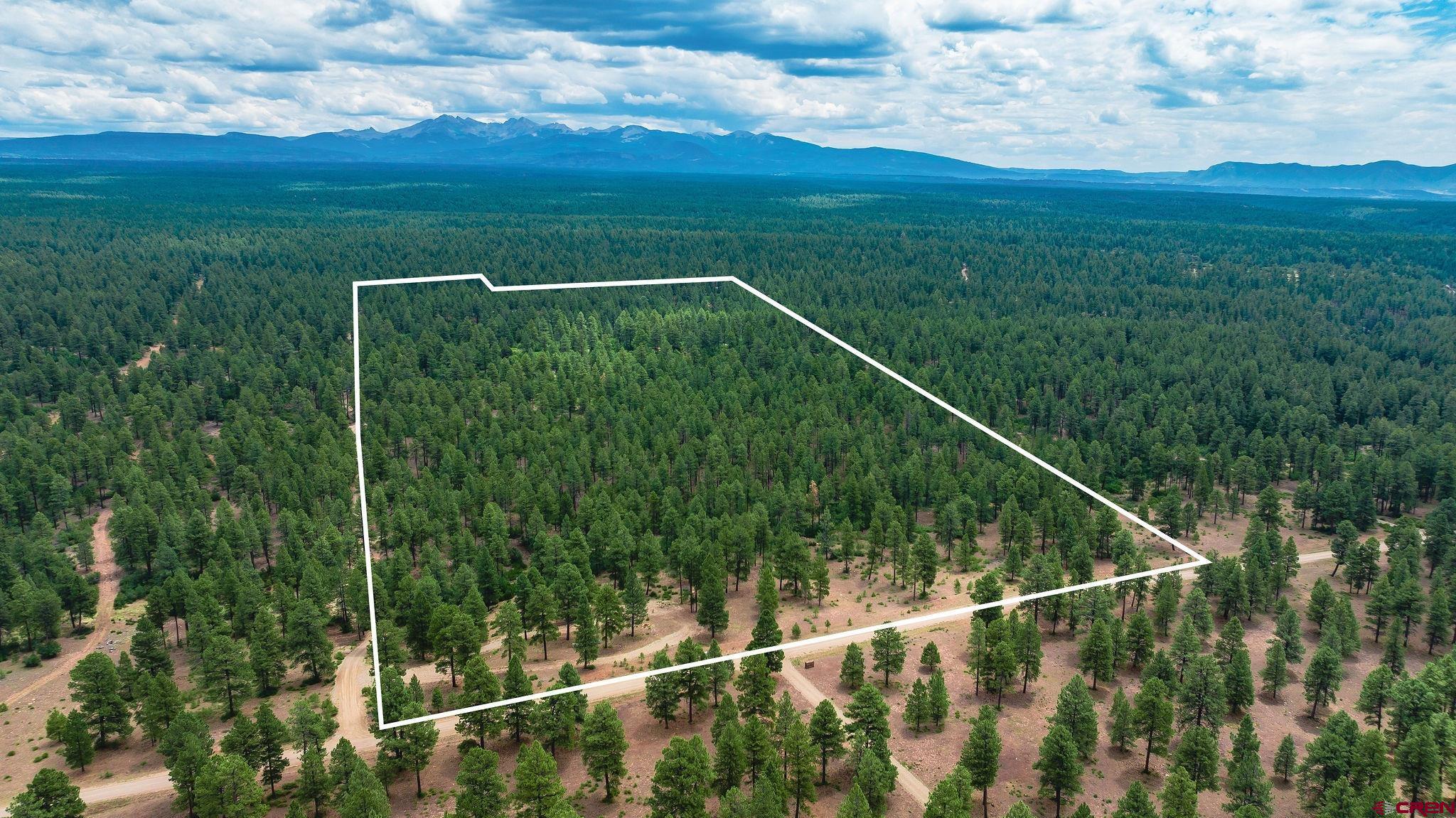 Mancos, Colorado, 81328, United States, 3 Bedrooms Bedrooms, ,4 BathroomsBathrooms,Residential,For Sale,1978860