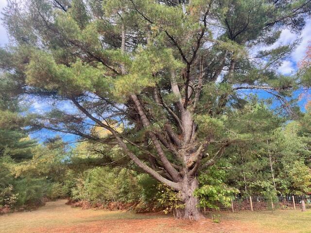 Branch, Michigan, 49402, United States, 5 Bedrooms Bedrooms, ,4 BathroomsBathrooms,Residential,For Sale,1986273