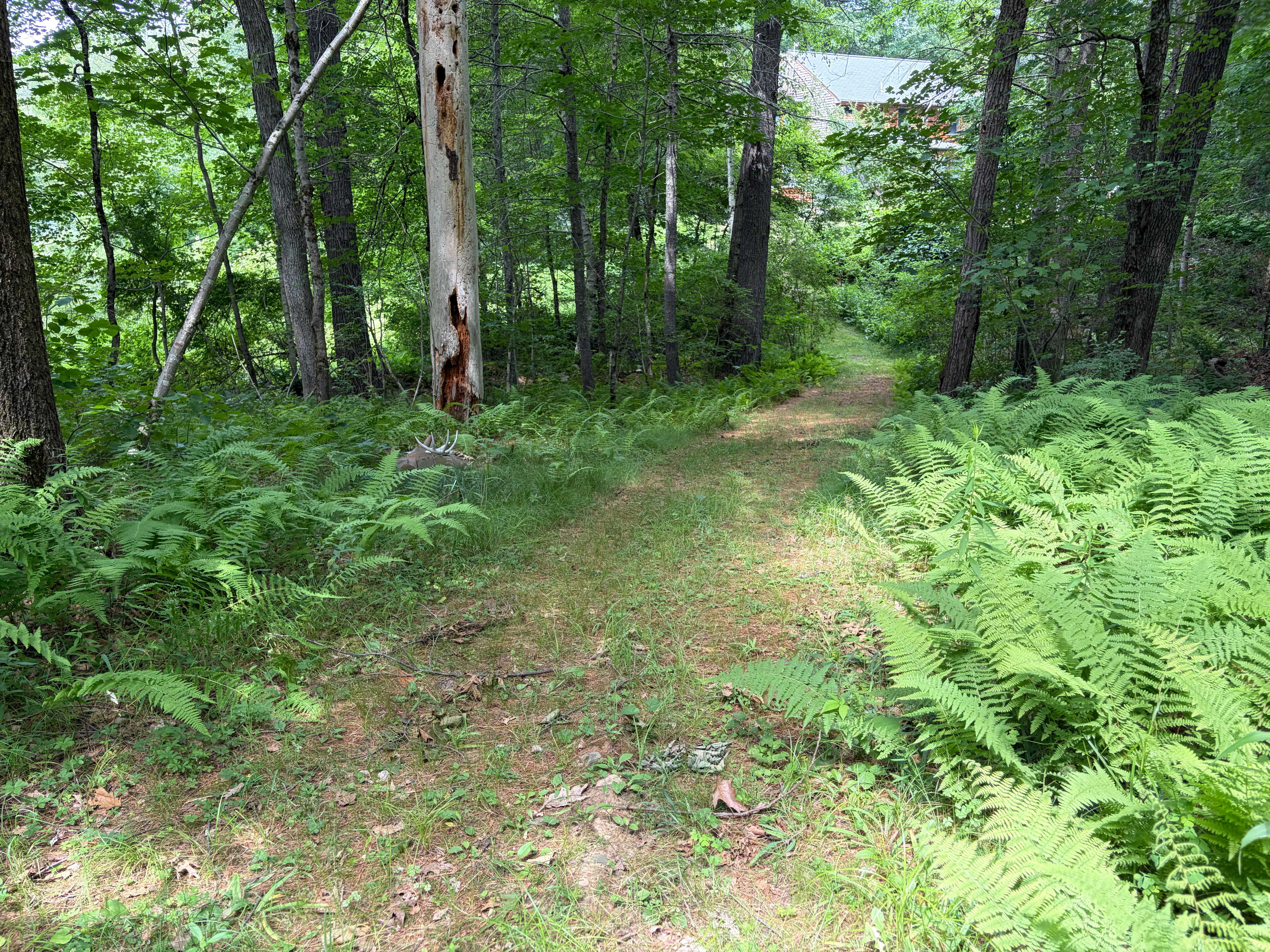  0 Judy Farm Road, Carlisle, MA, 01741 - 物件實景