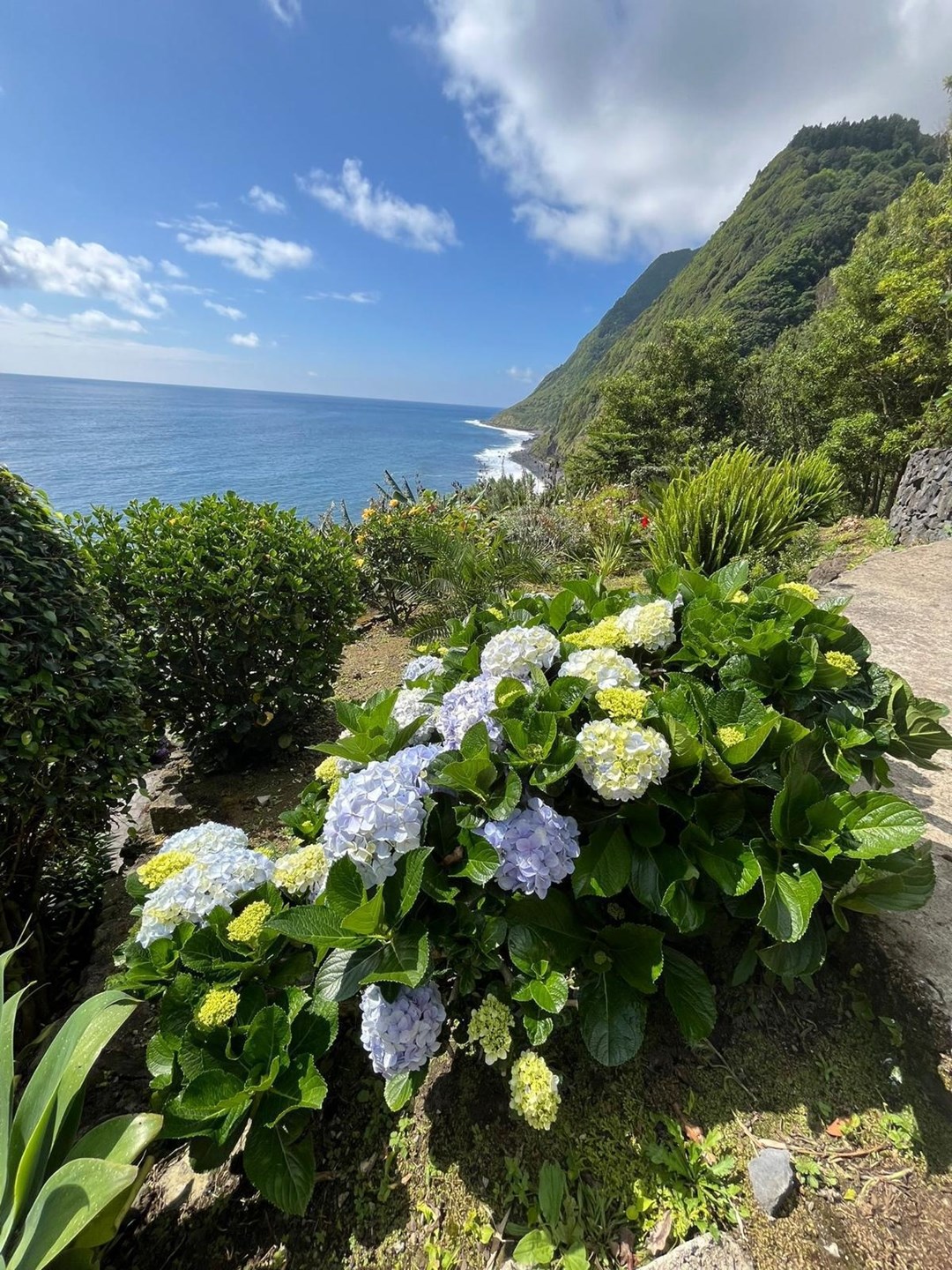 Nordeste, Ilha de São Miguel, PT, 3 Bedrooms Bedrooms, ,3 BathroomsBathrooms,Residential,For Sale,1882460