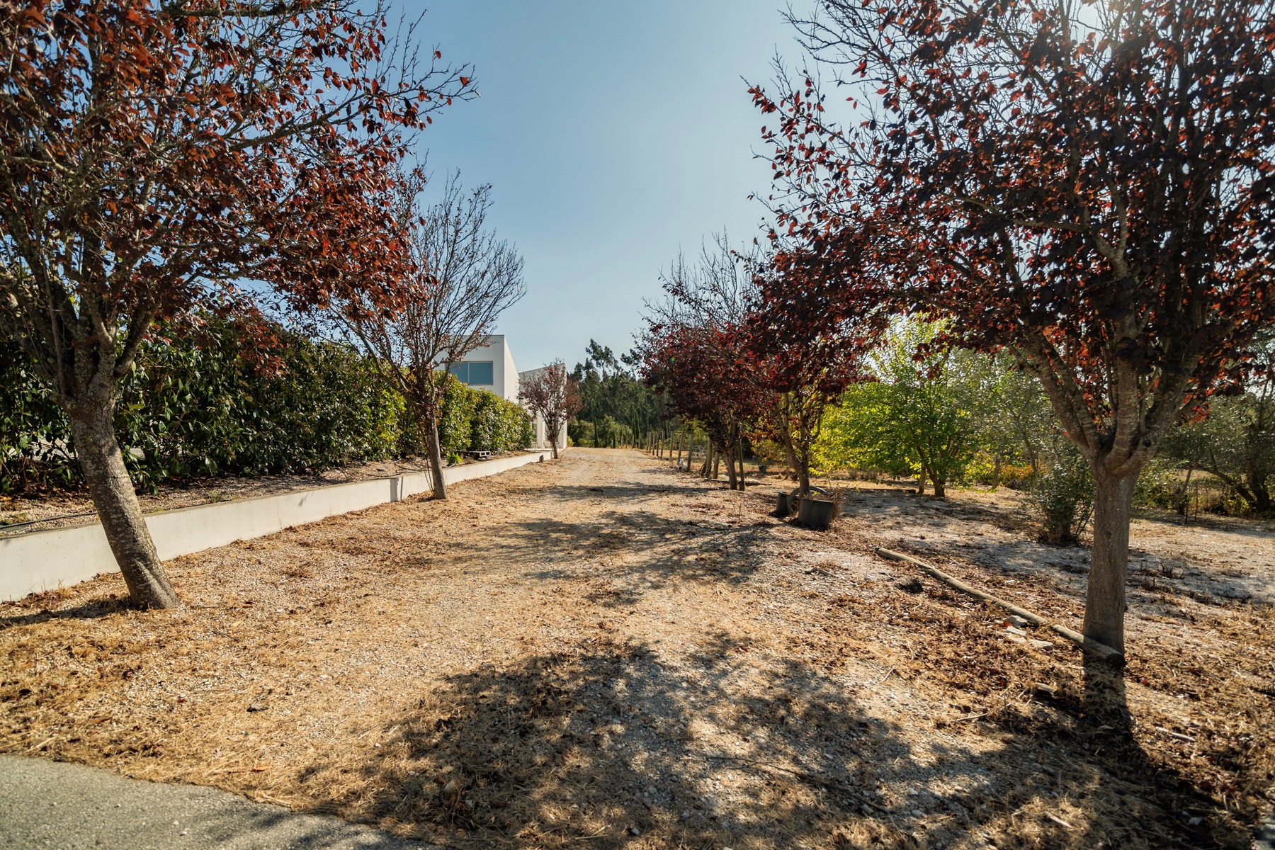  Detached house, 4 bedrooms, for Sale - 物件實景