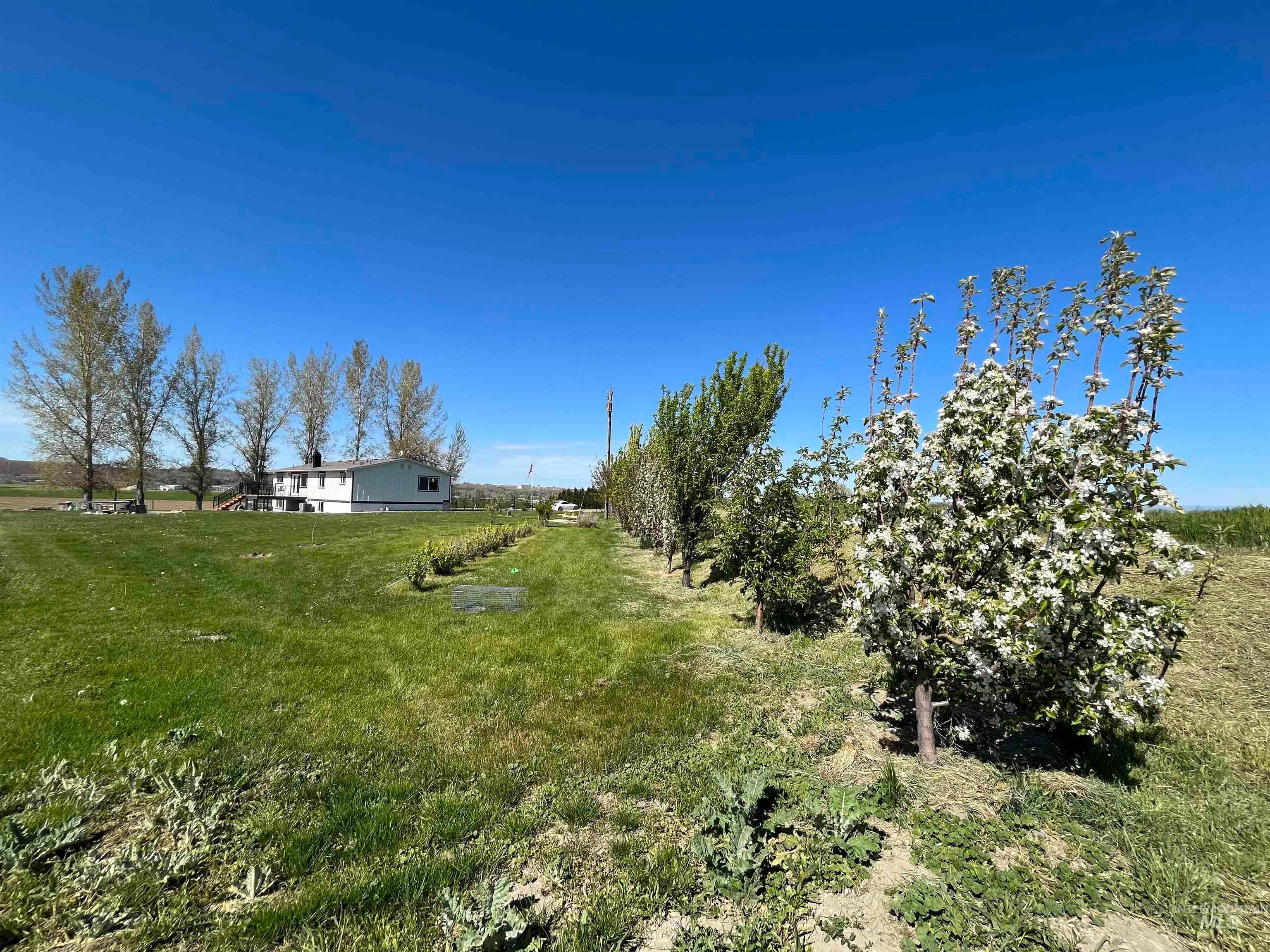 Ontario, Oregon, 97914, United States, 3 Bedrooms Bedrooms, ,3 BathroomsBathrooms,Residential,For Sale,1939270