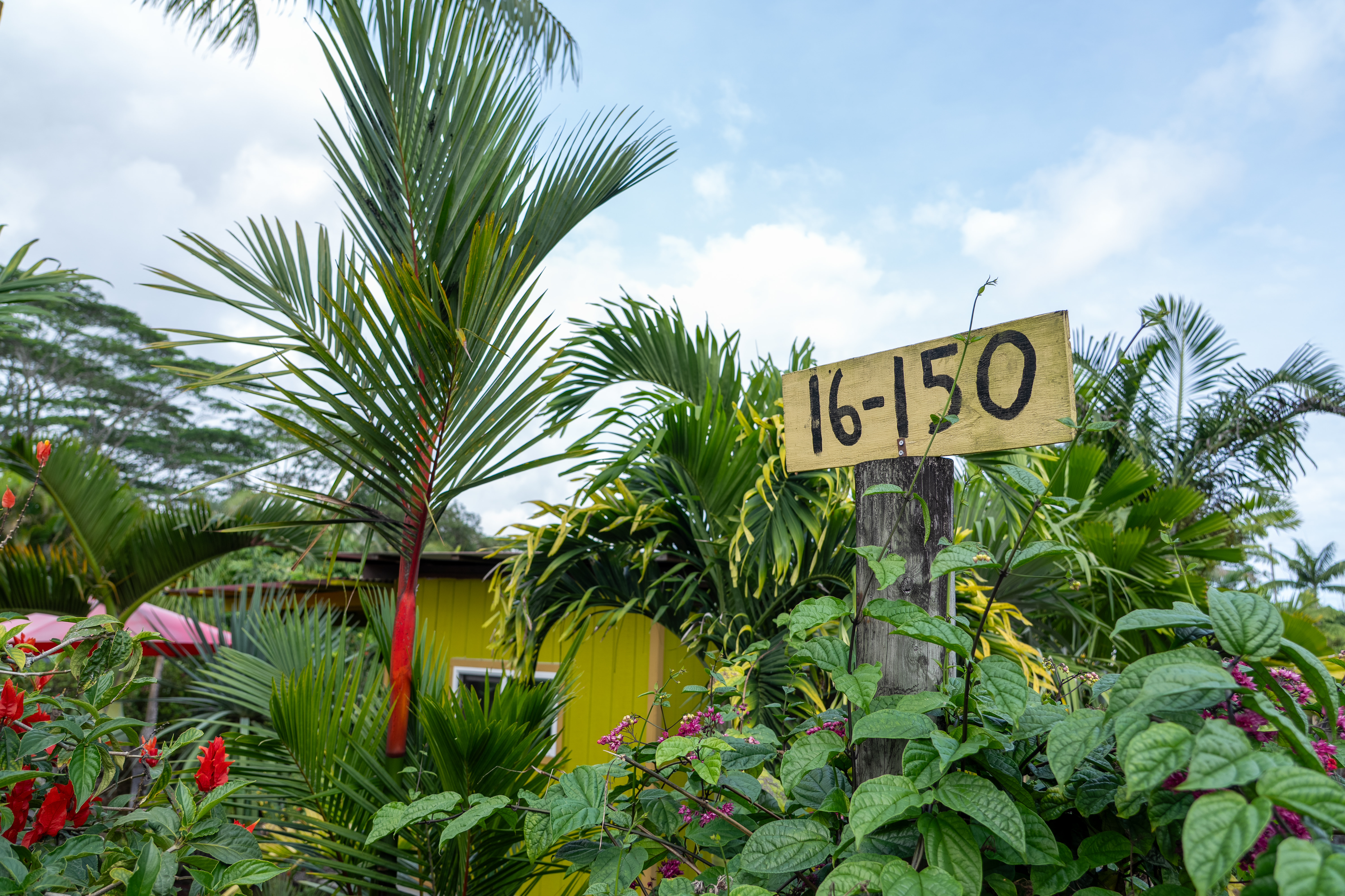 Kurtistown, Hawaii, 96760, United States, 2 Bedrooms Bedrooms, ,2 BathroomsBathrooms,Residential,For Sale,1991865